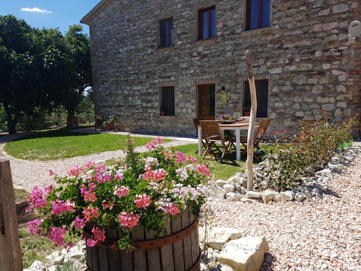 B & B La Primavera photo 4