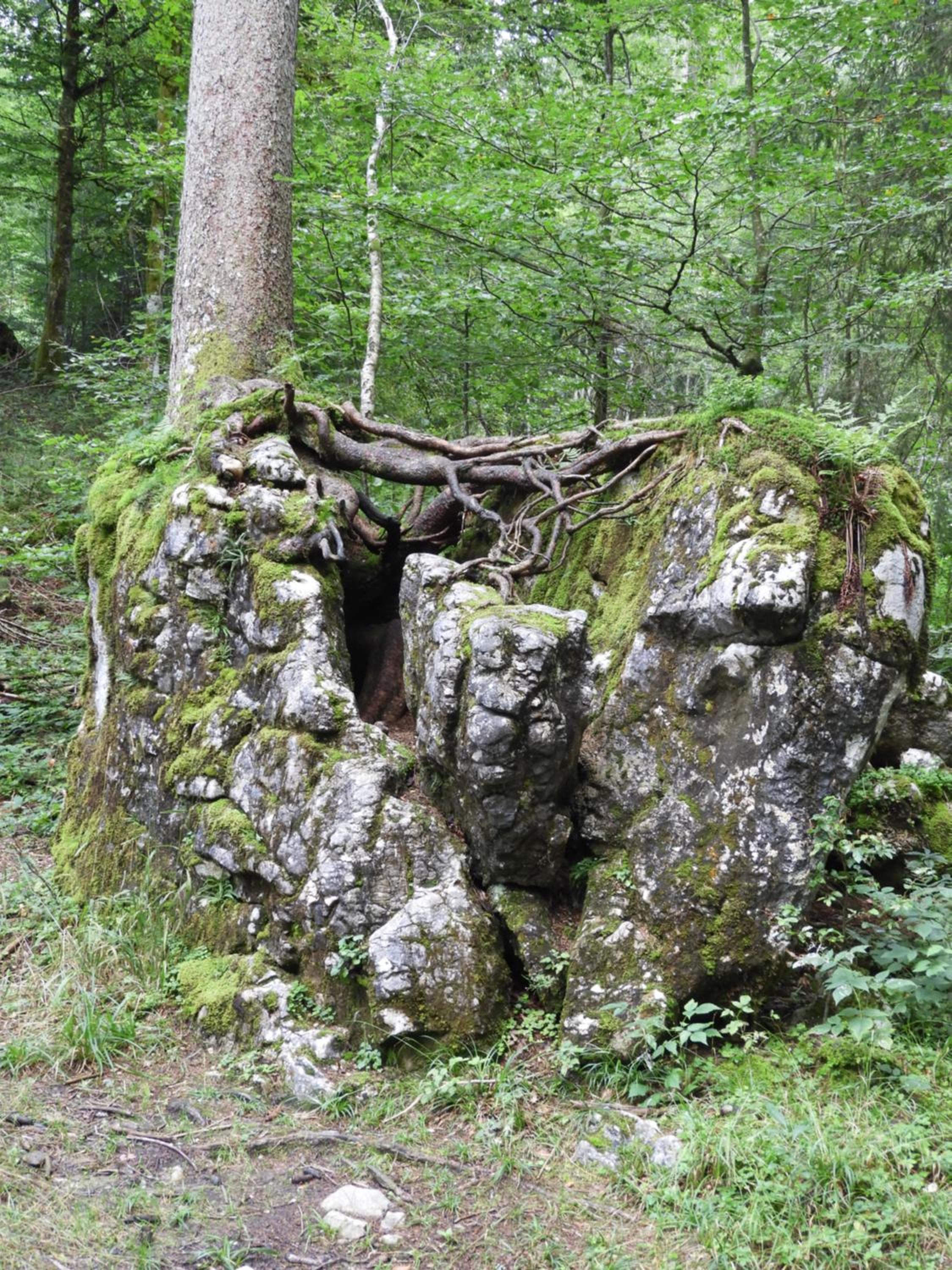 Krähenberg am Rande der Wildnis