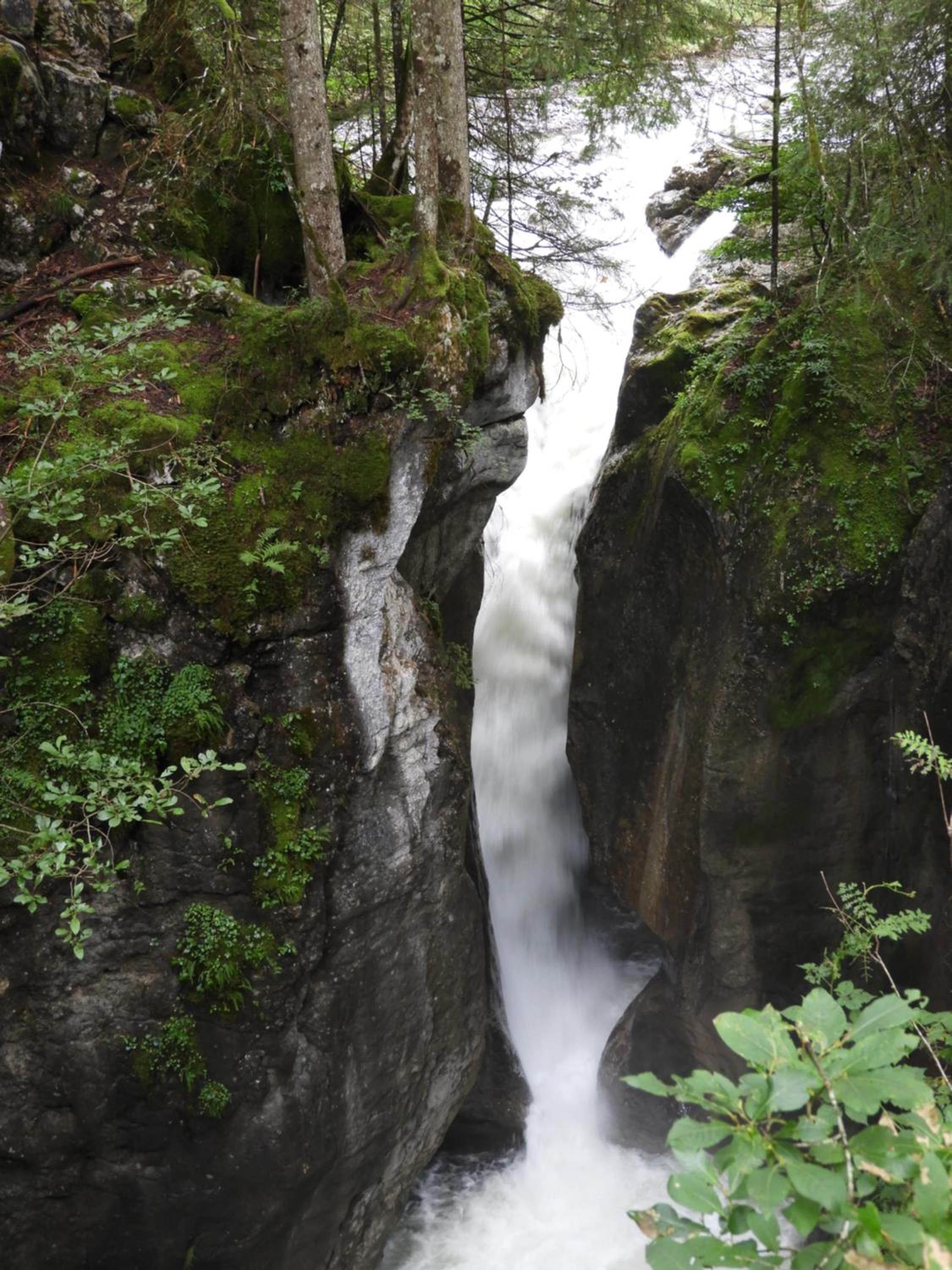Krähenberg am Rande der Wildnis