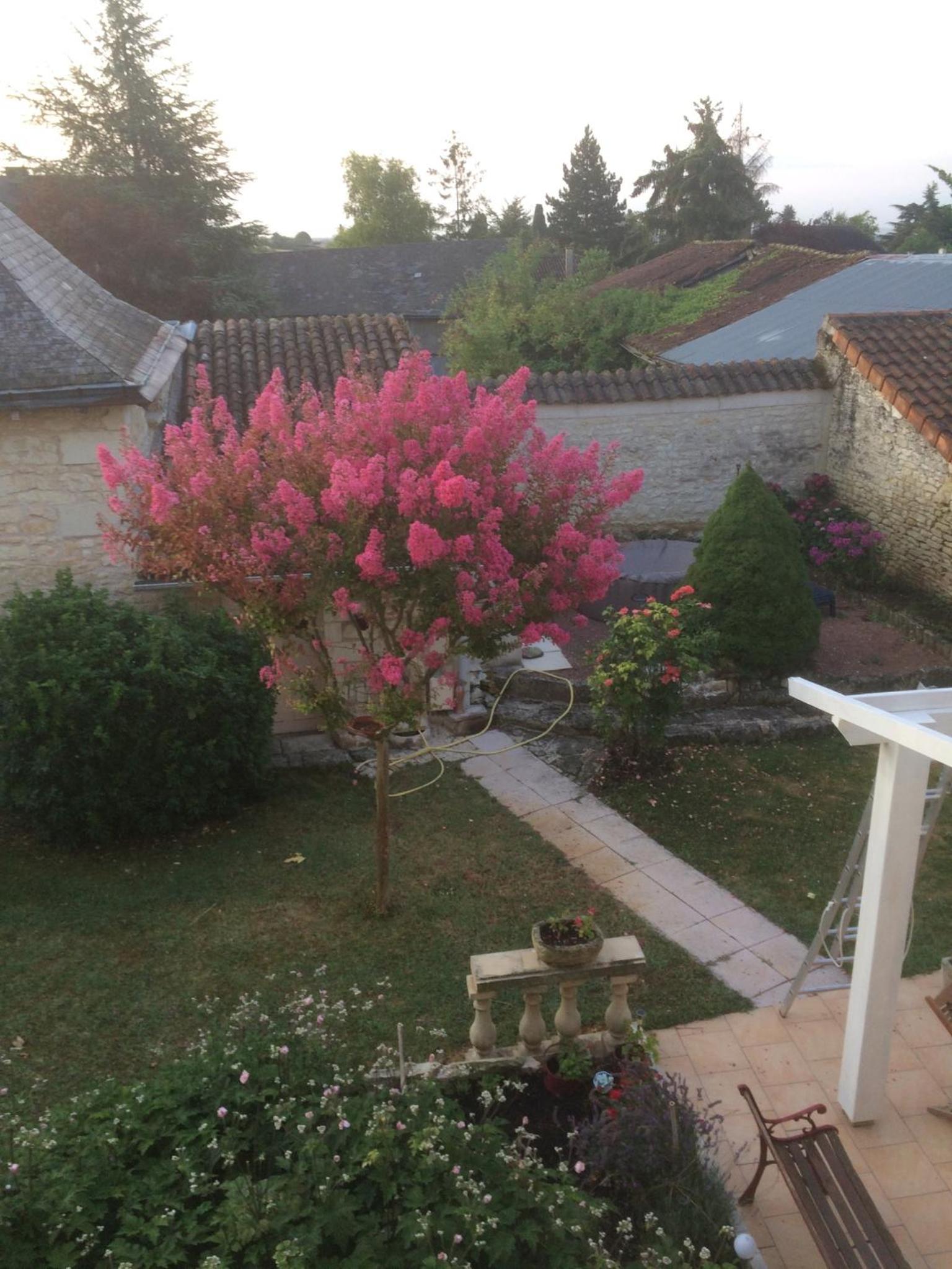 La Tour de Gué view 5