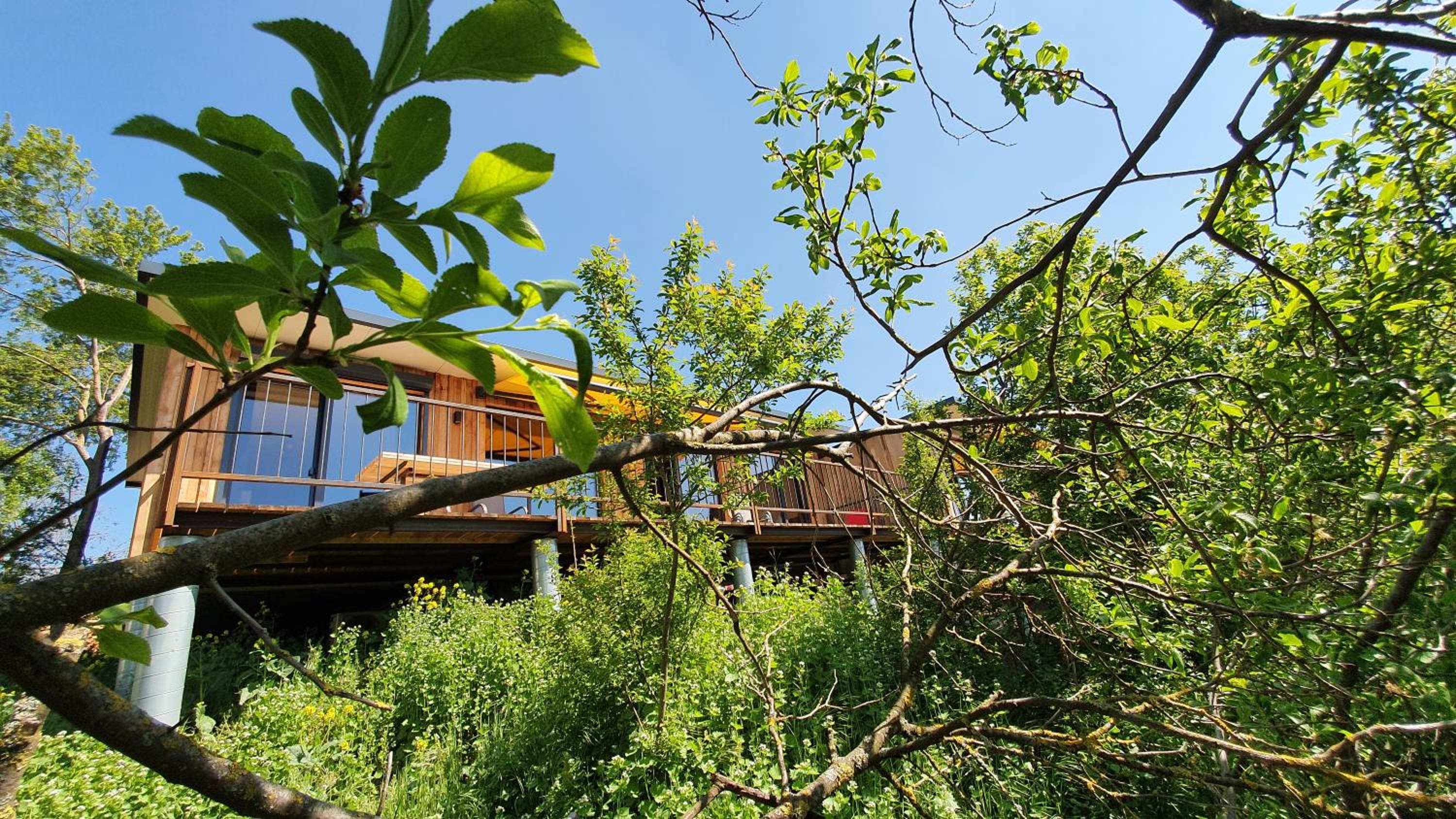 GLÜCK HOMES IPPESHEIM