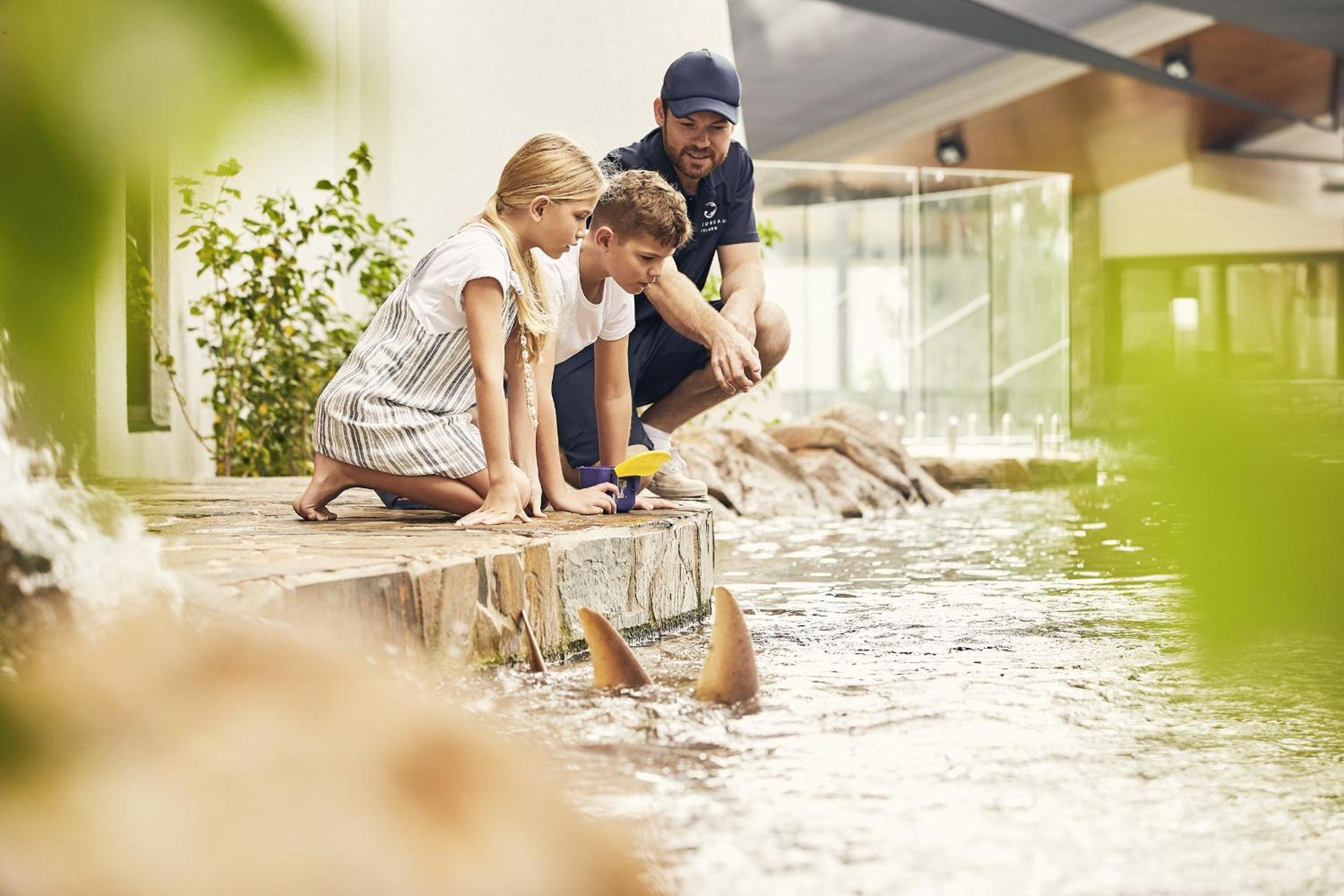 Daydream Island Resort