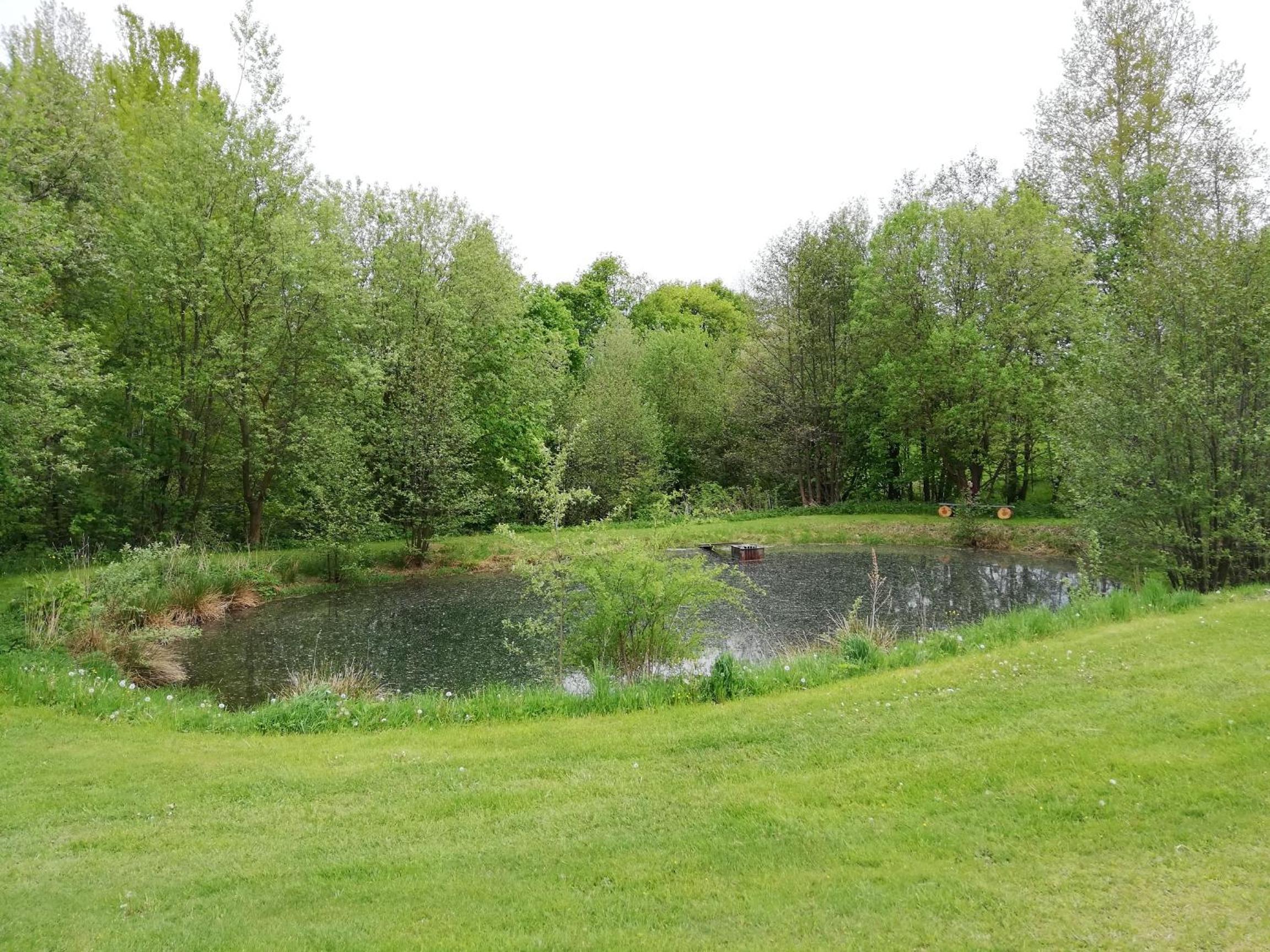 Photo 14