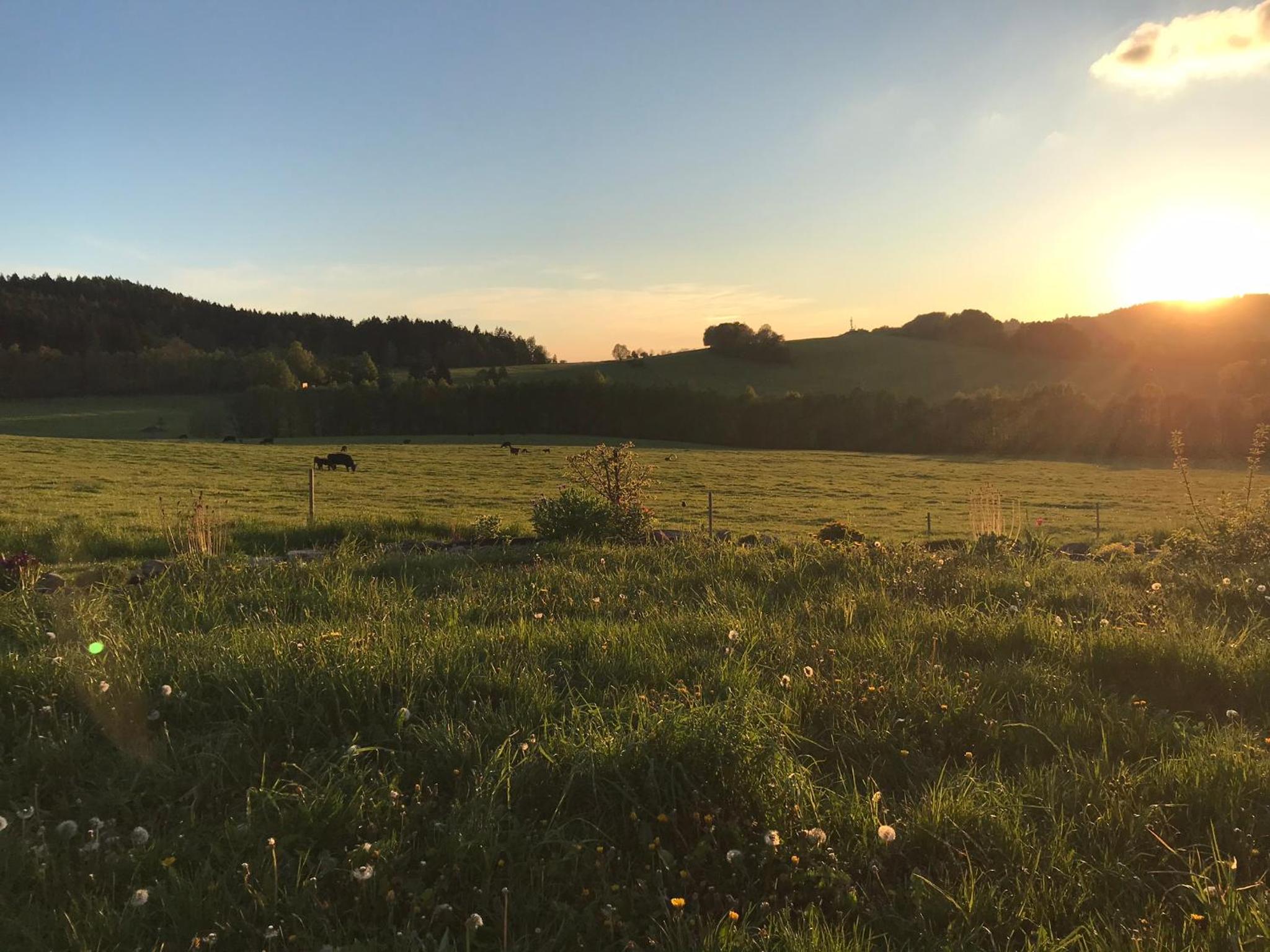 Novohradský ráj aneb Oáza klidu na samotě u lesa