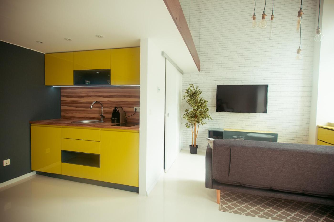 Zeus Design Loft Apartments