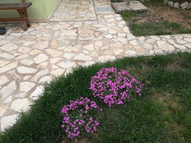 Photo 32