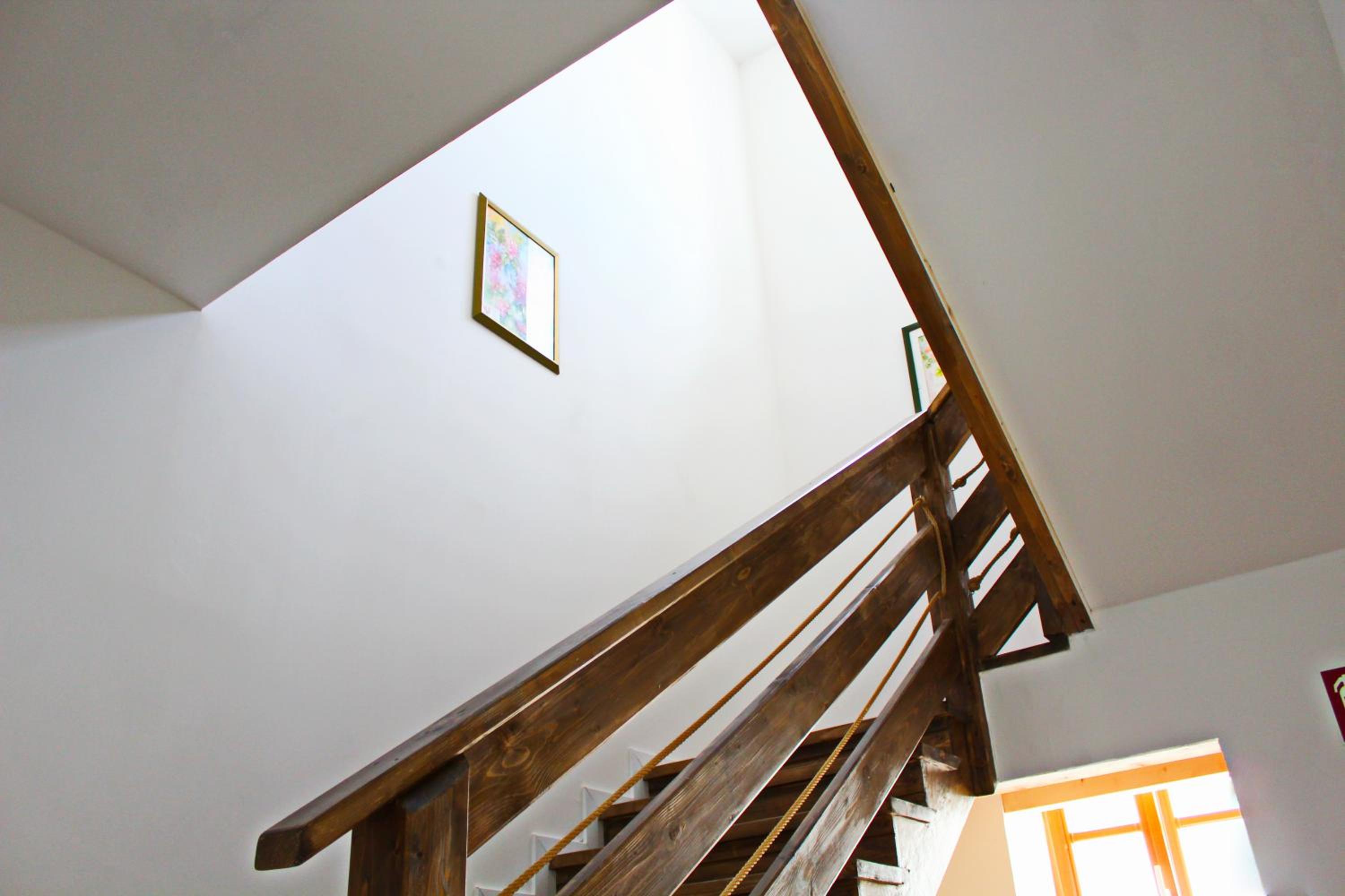 Catalleya Haus