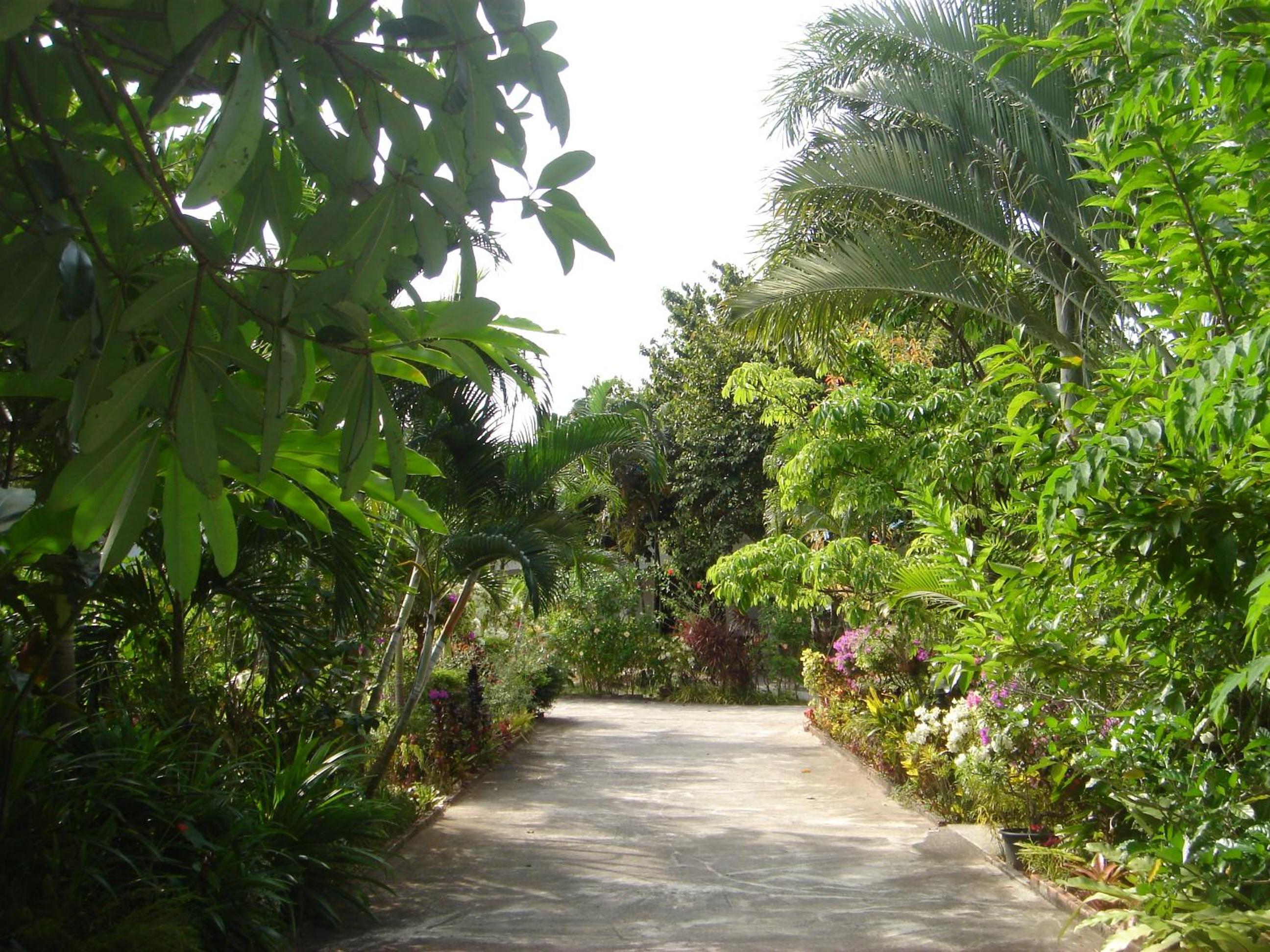 Real Relax Resort