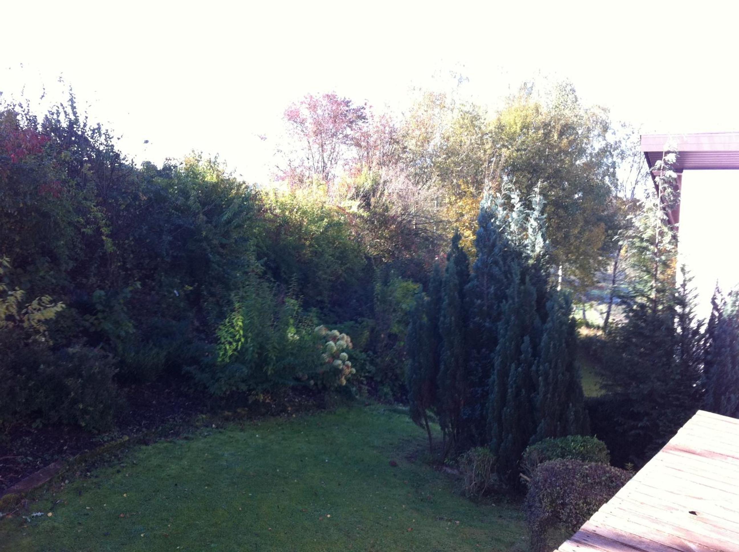 Ferienwohnung Am Paradies 6