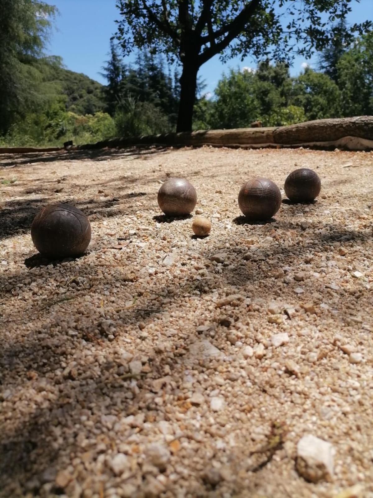 Pura Vida view 2