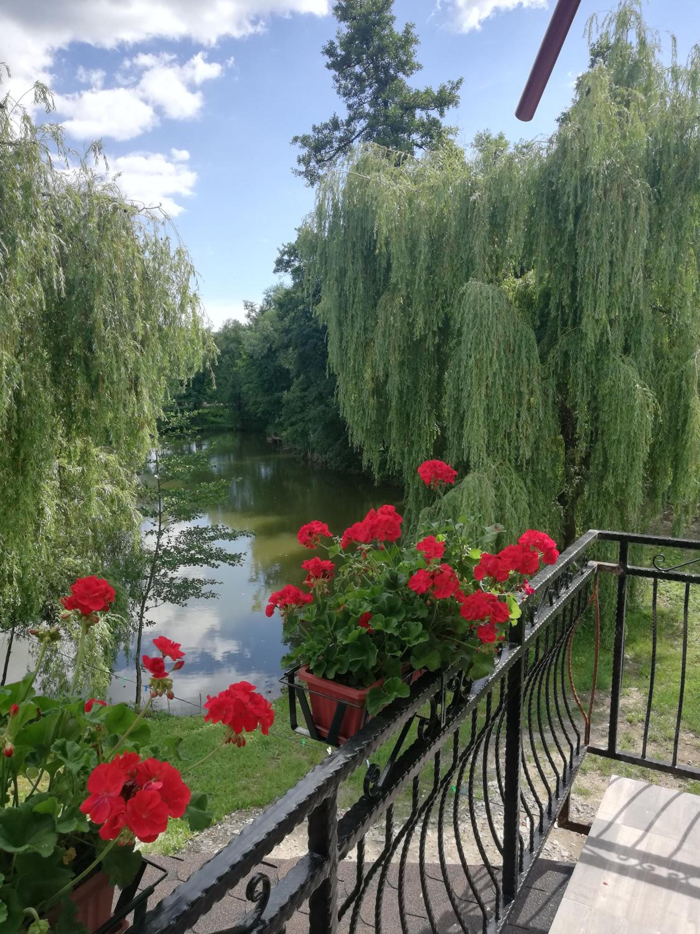 Photo 27