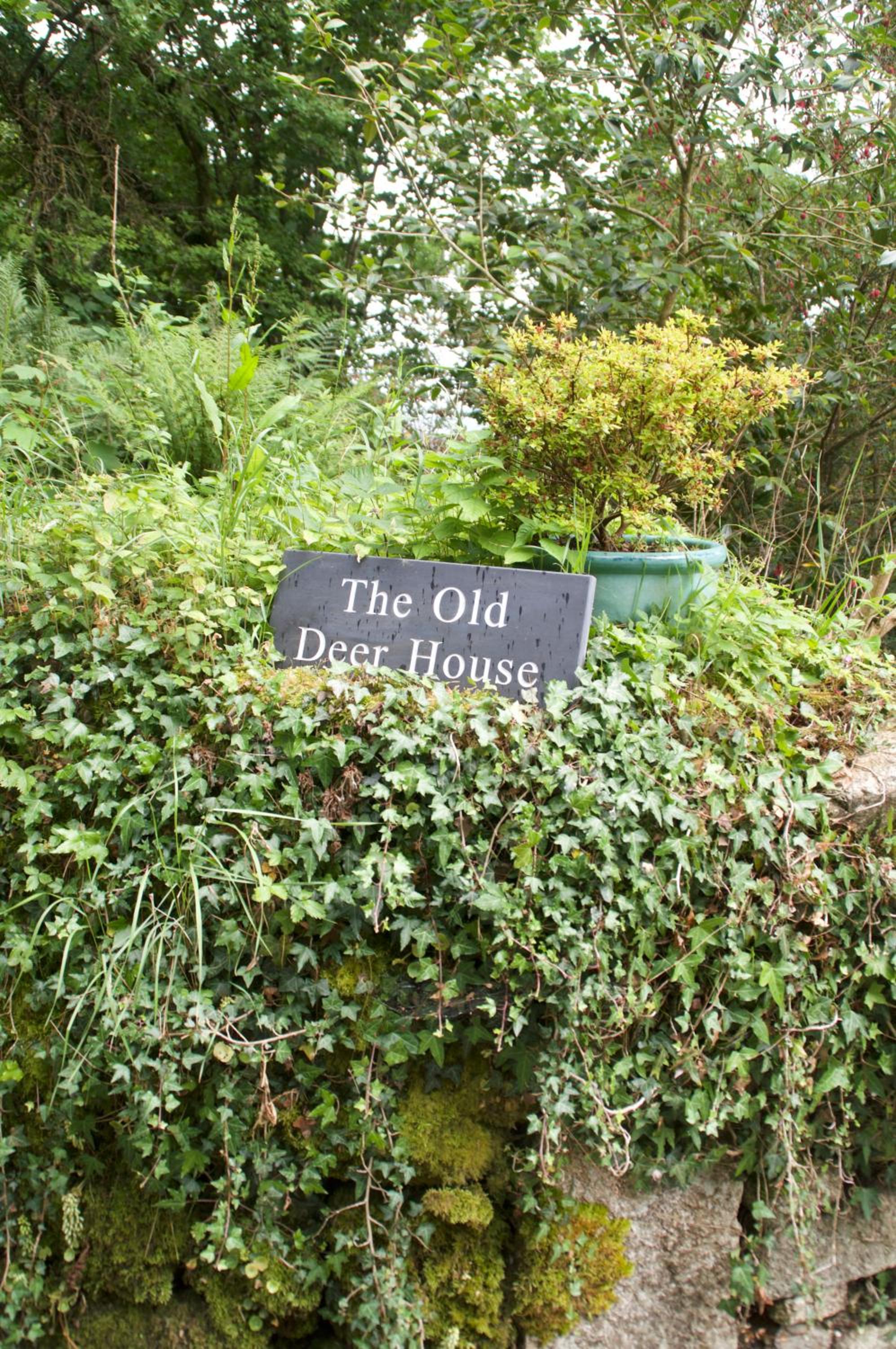 The Old Deer House view 2