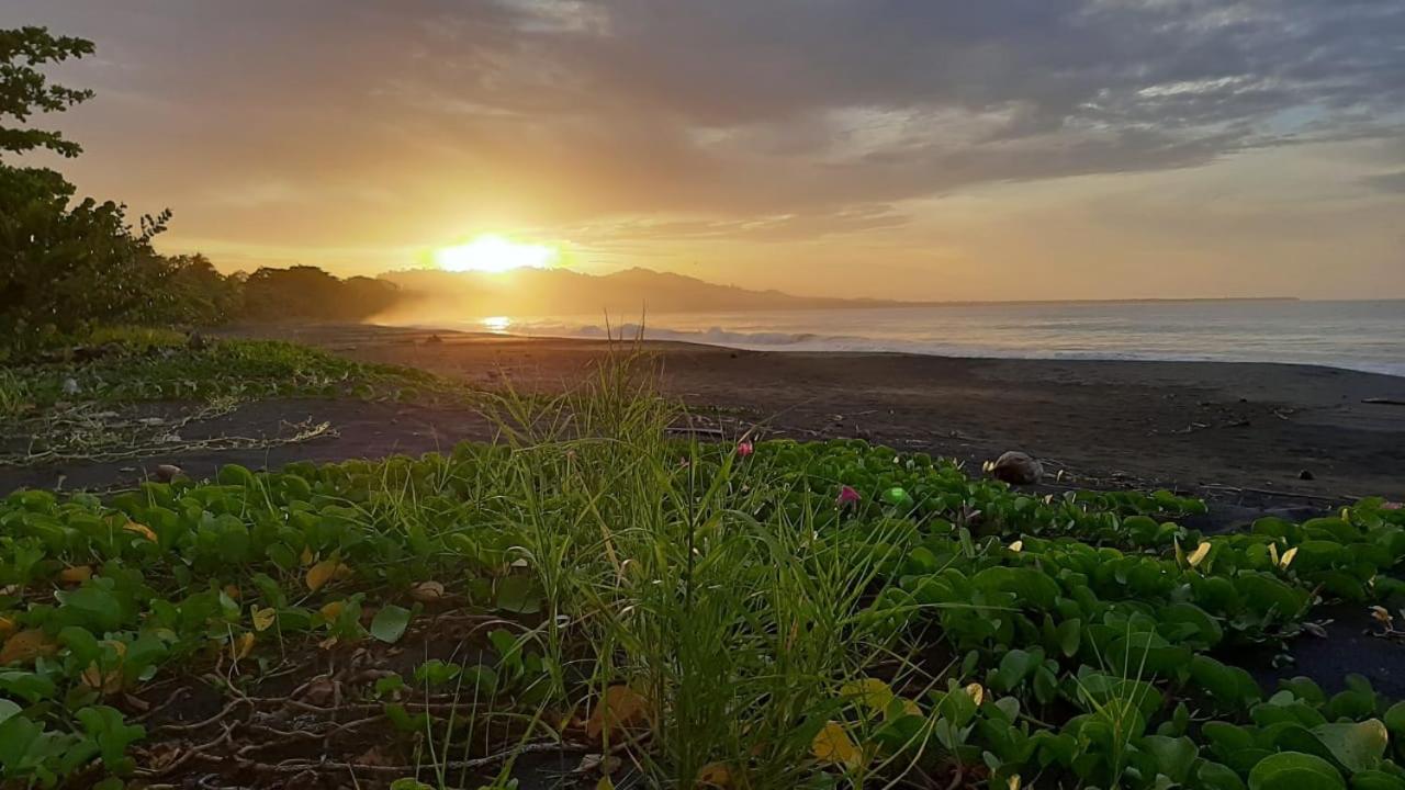 Hotel One Love Puerto Viejo