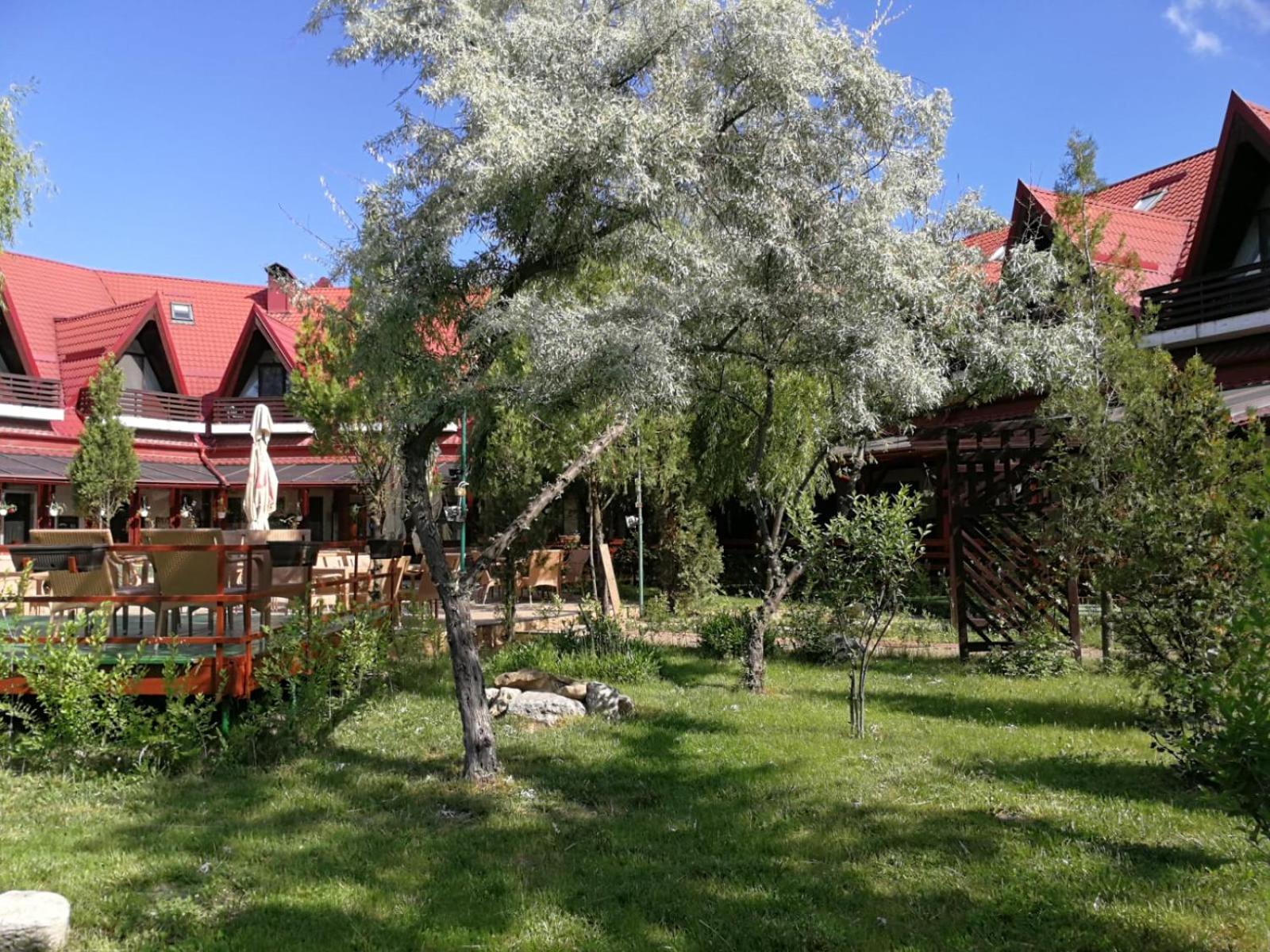 Photo 13