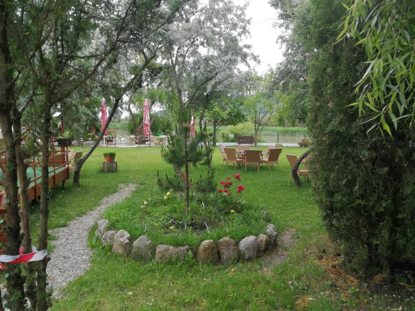Photo 19