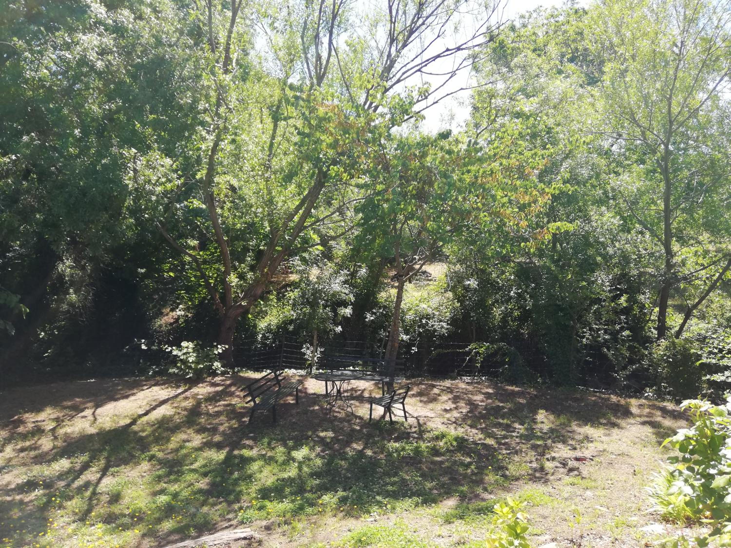 Photo 47