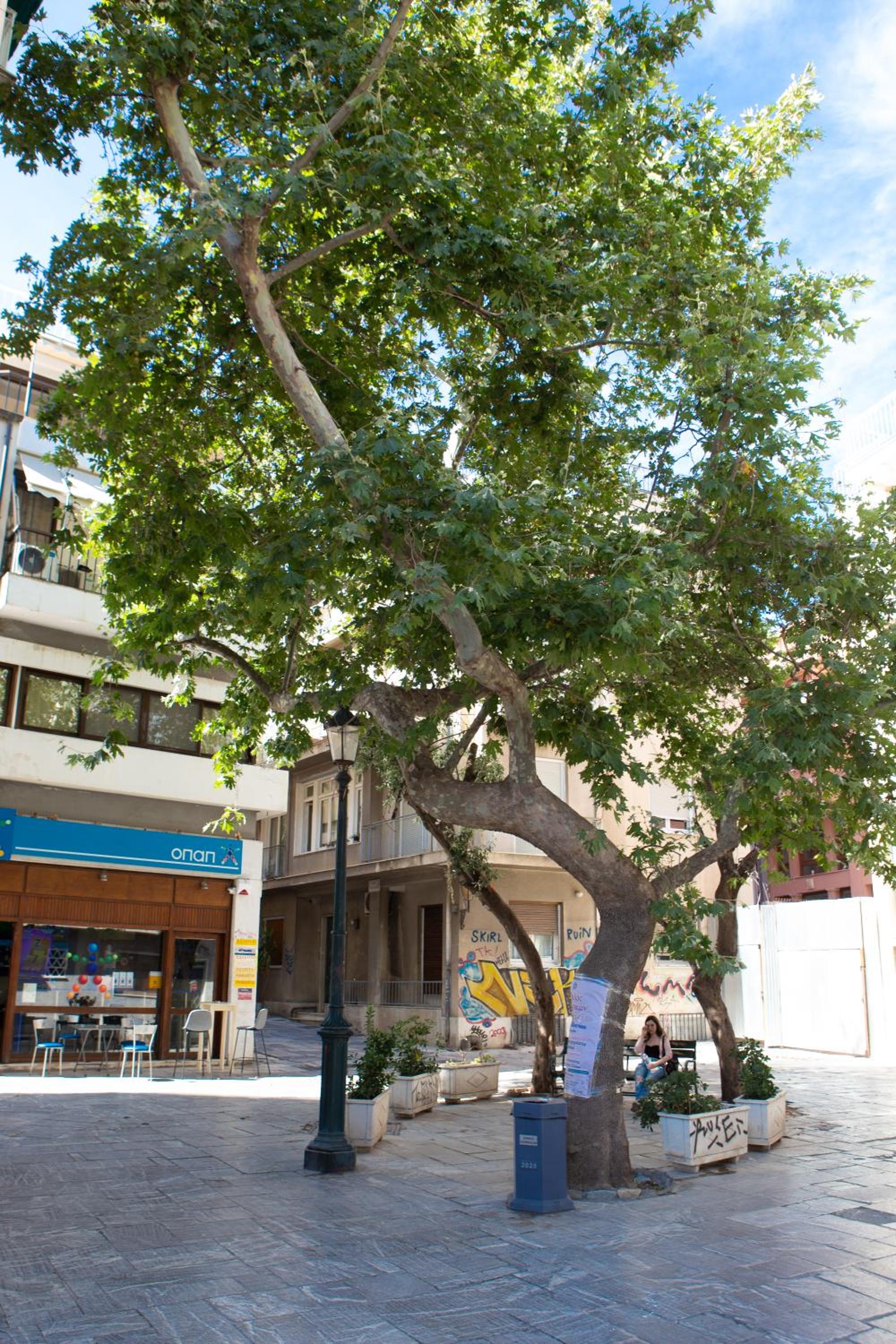 Plato's Square Apartments