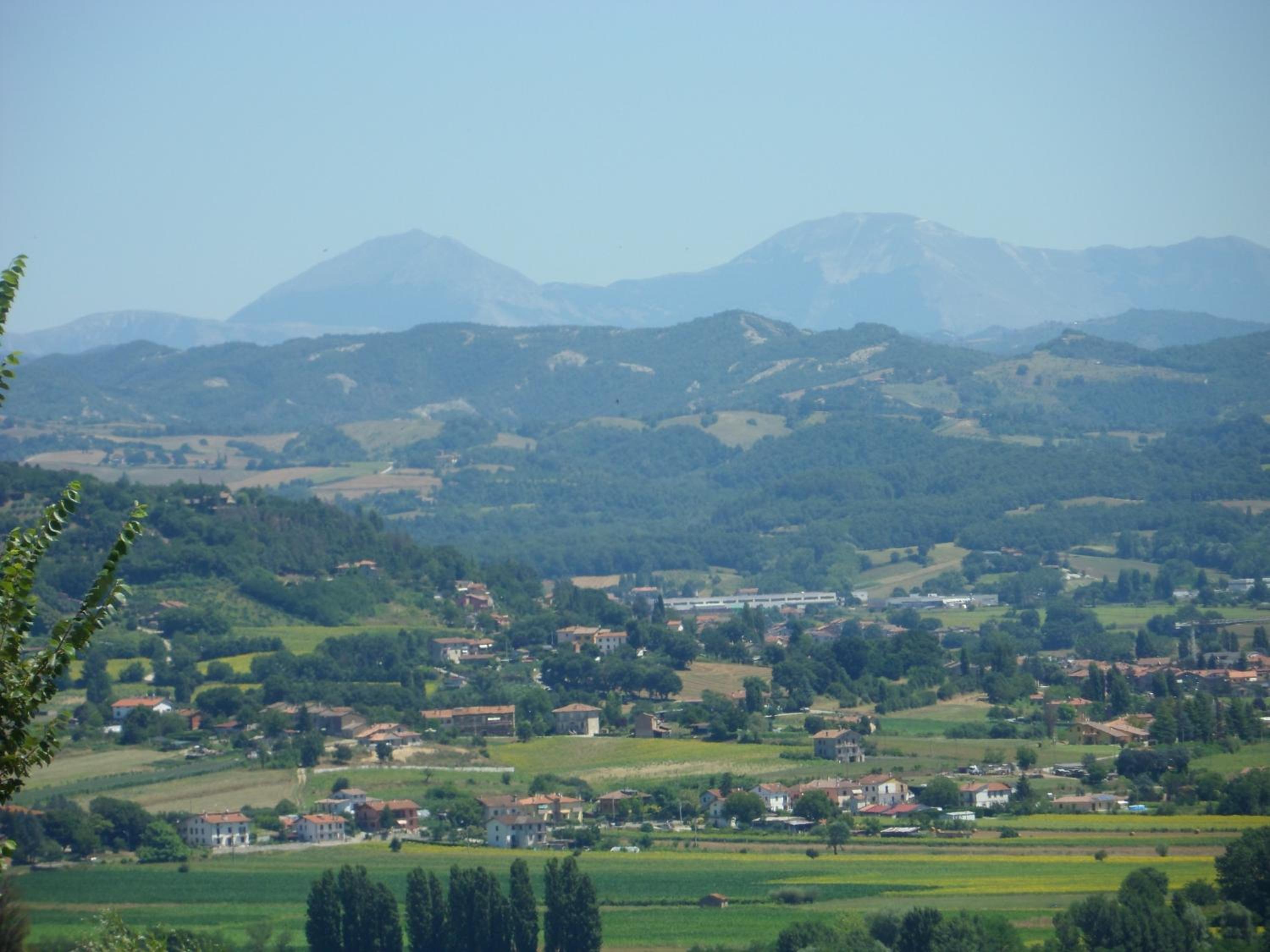 Photo 40