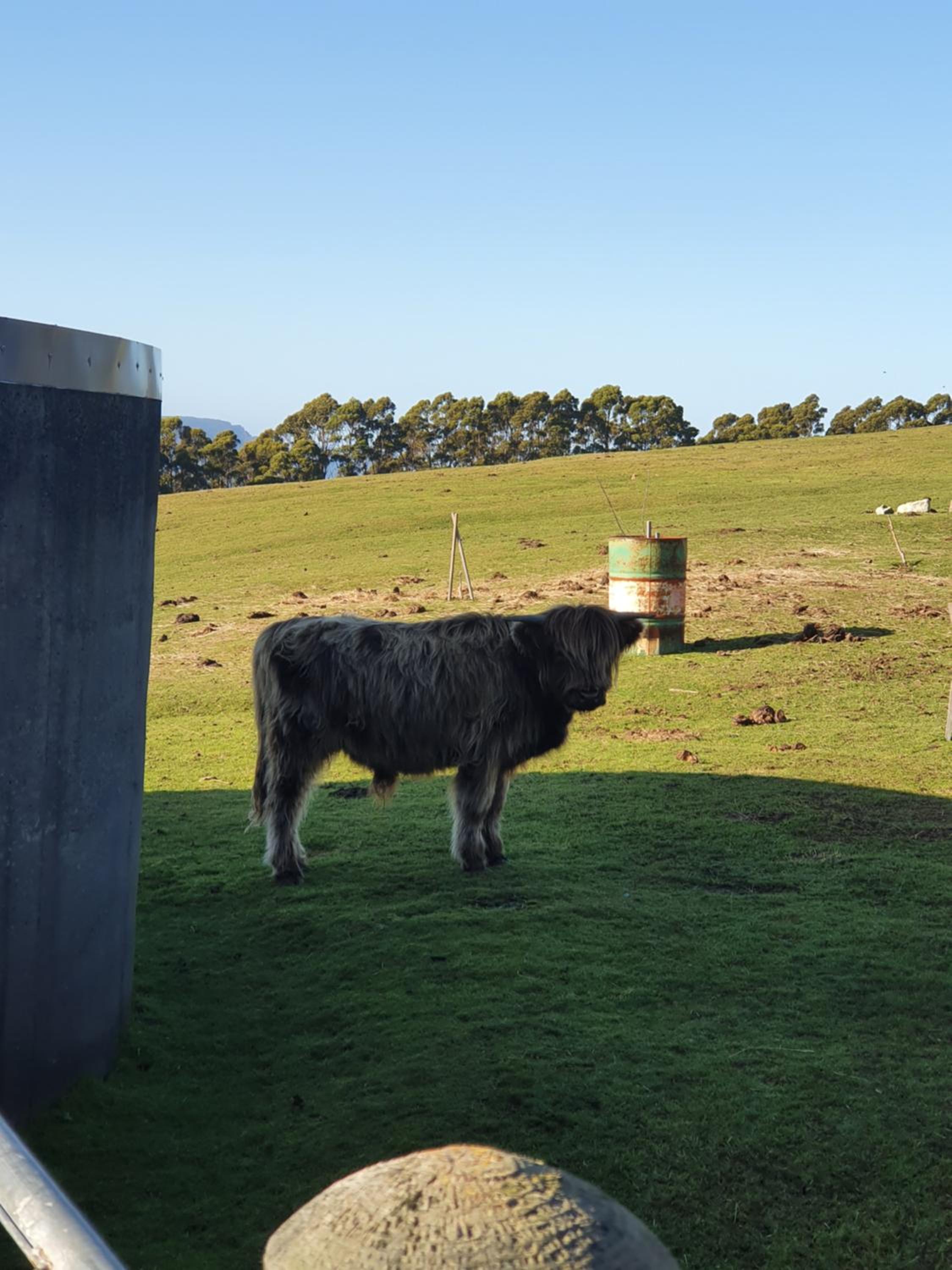 Ruby's Cottage Farm Stay