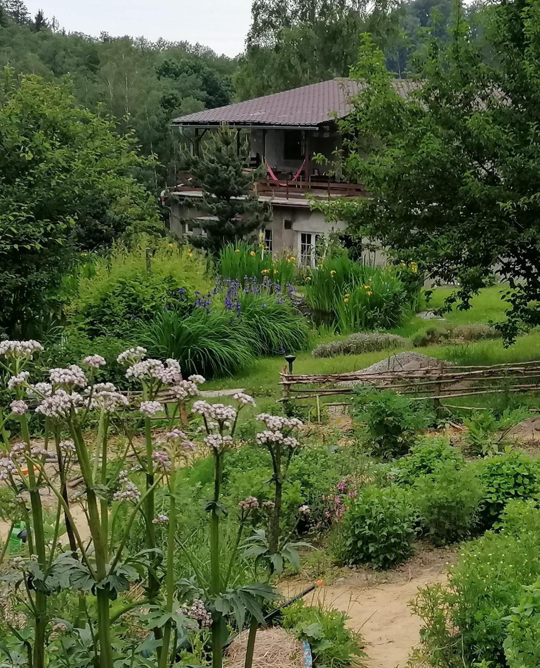 Bylinkové údolí view 4