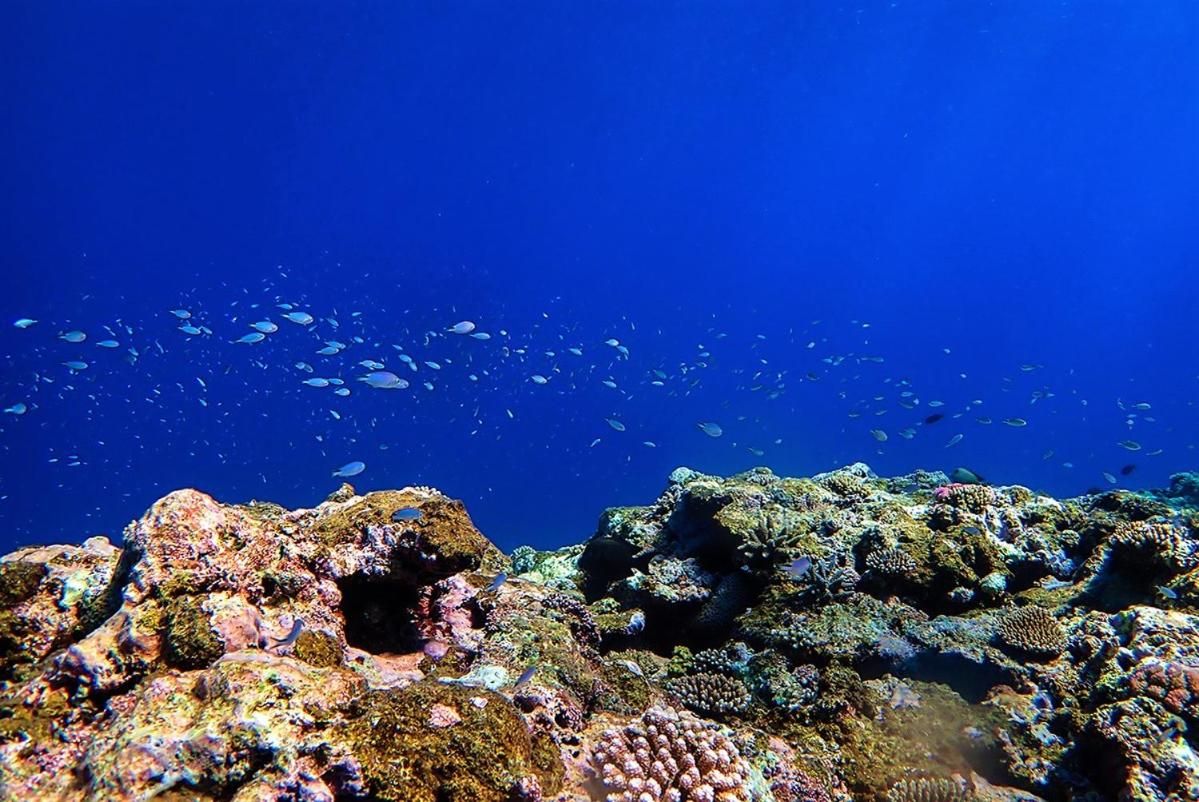 Villabu Resort
