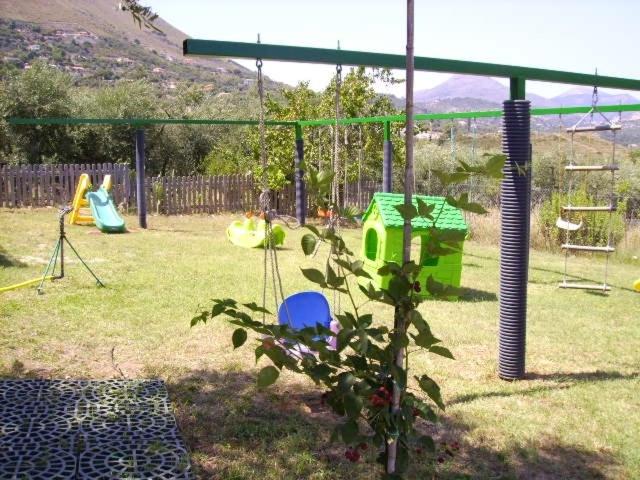 Photo 24