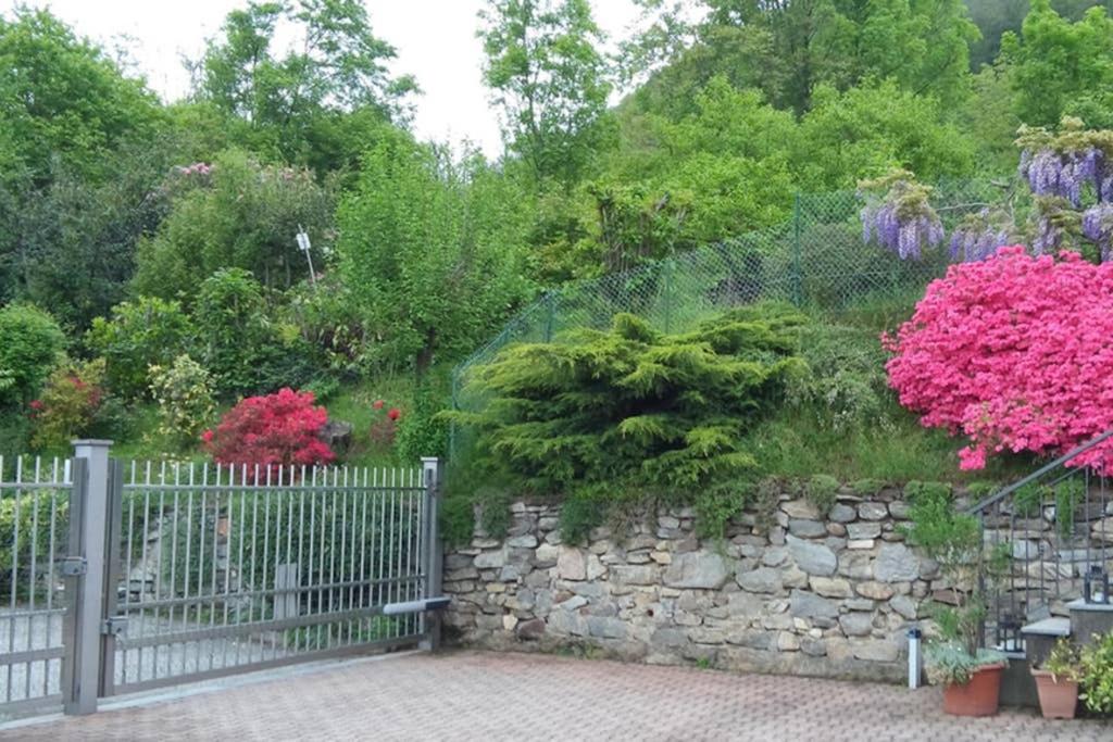 LAKE ORTA OPENSPACE garden beach view 2