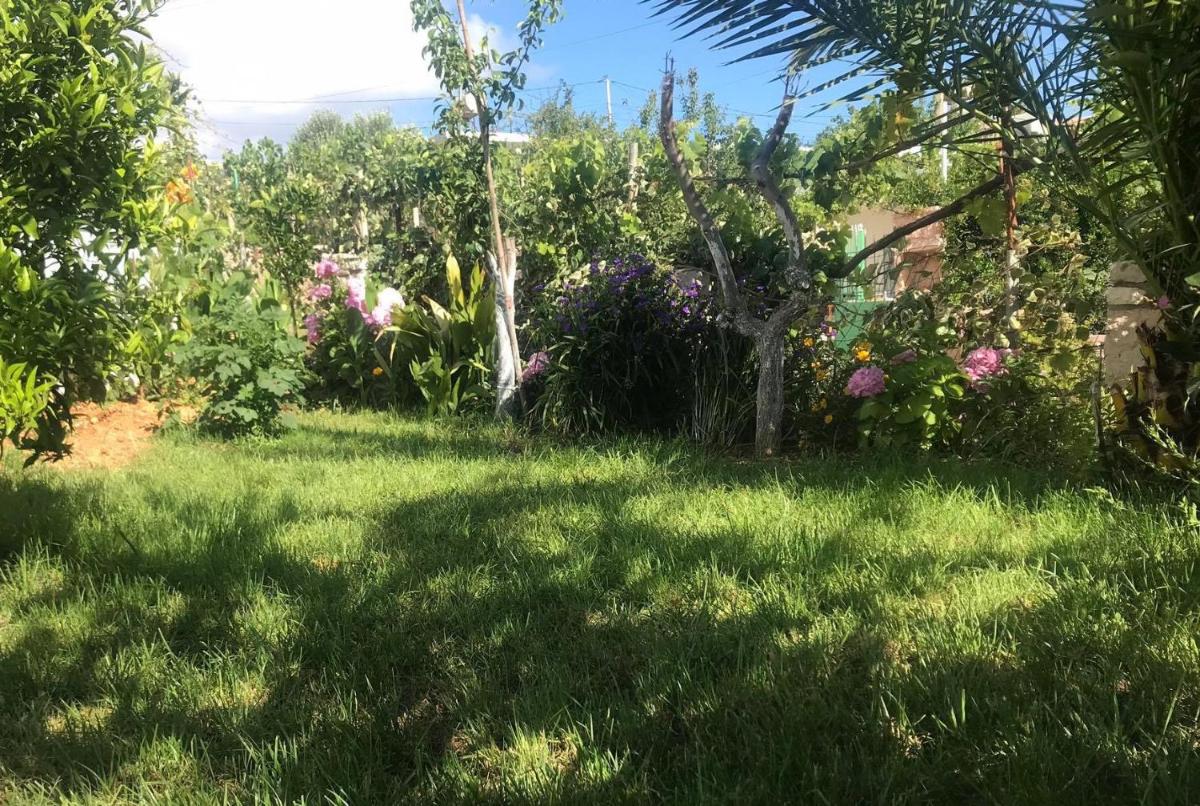 Feti Xhone Apartment