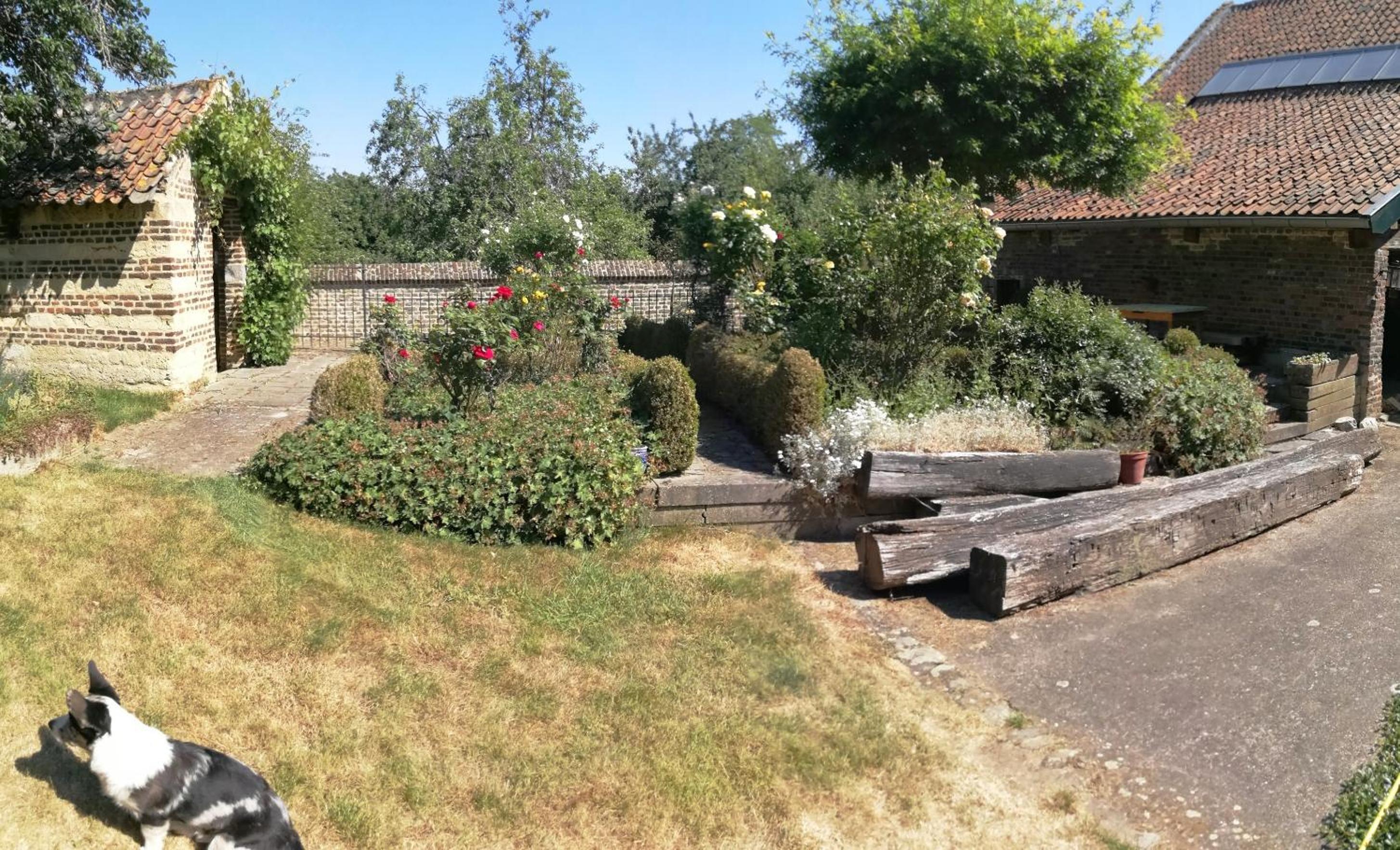 Photo 16