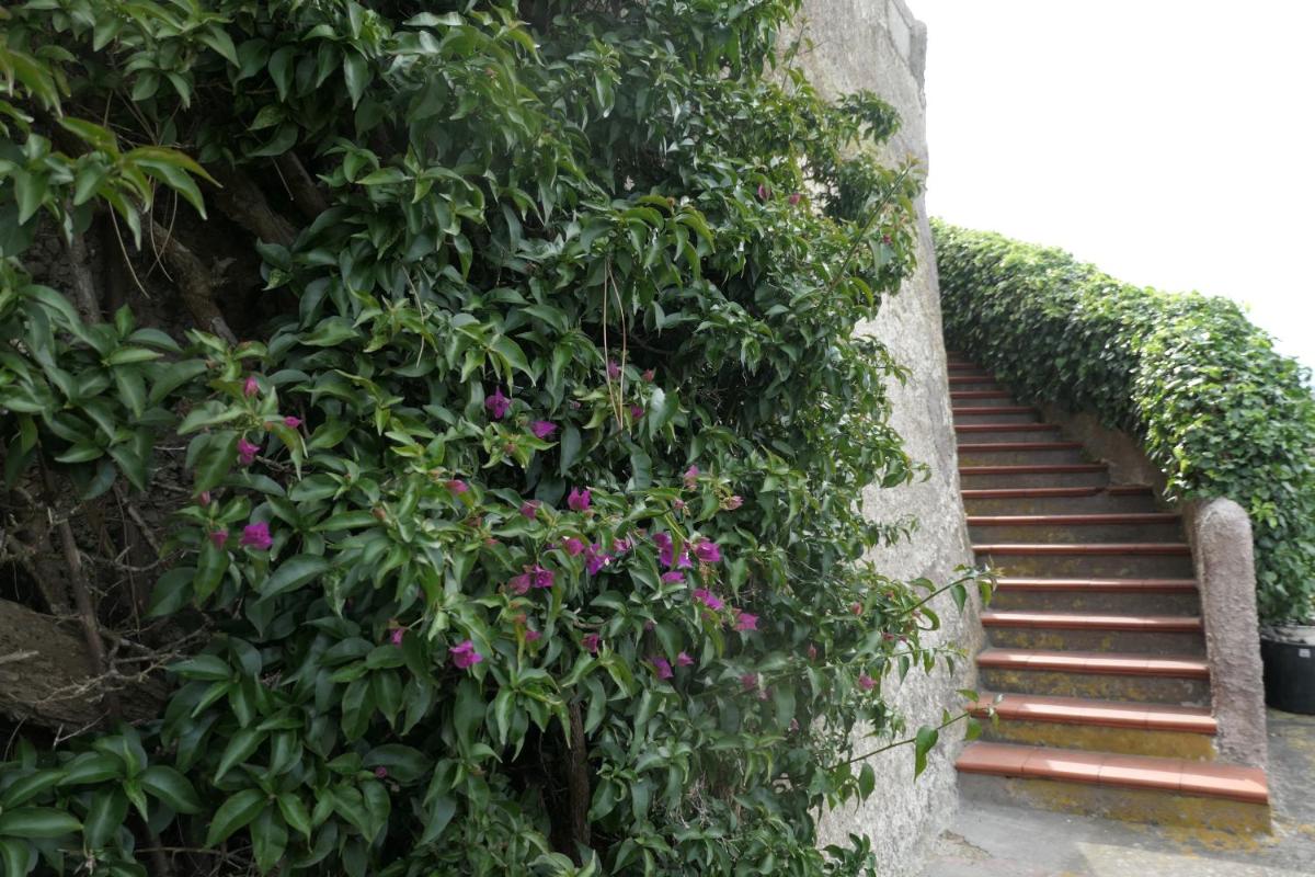 Villa Andrea