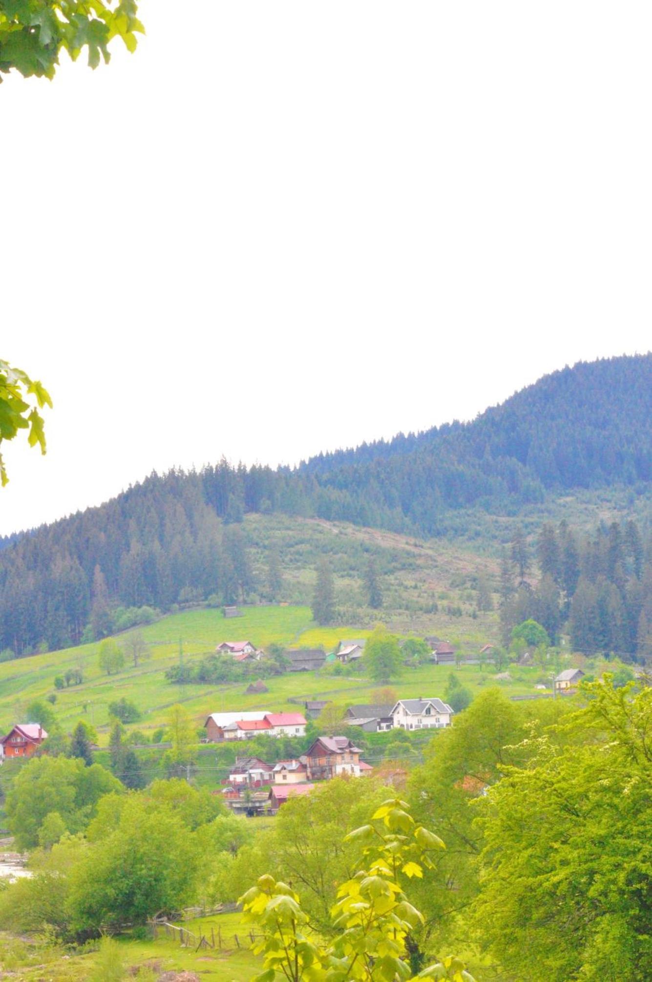 Photo 45