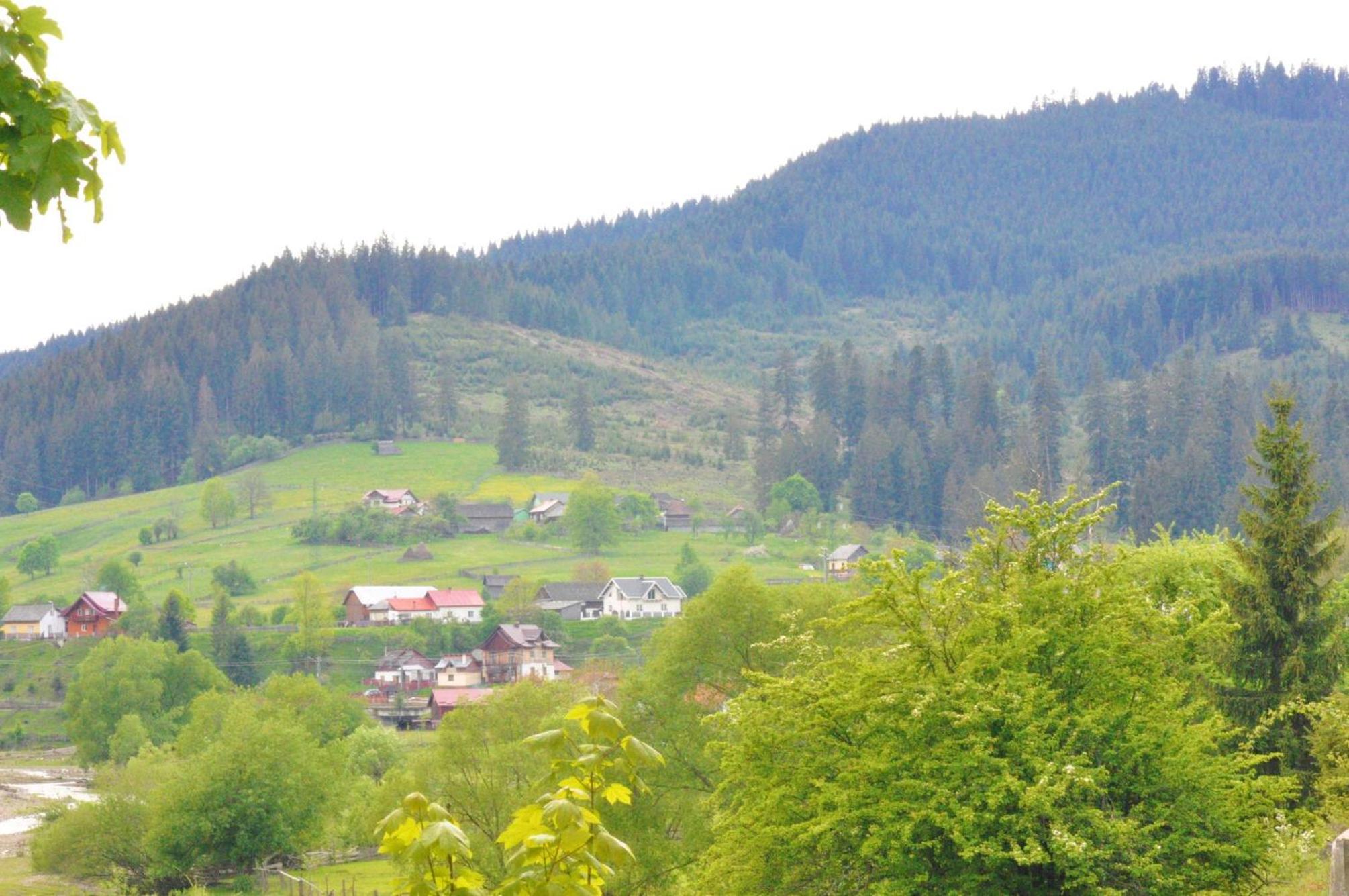 Photo 47