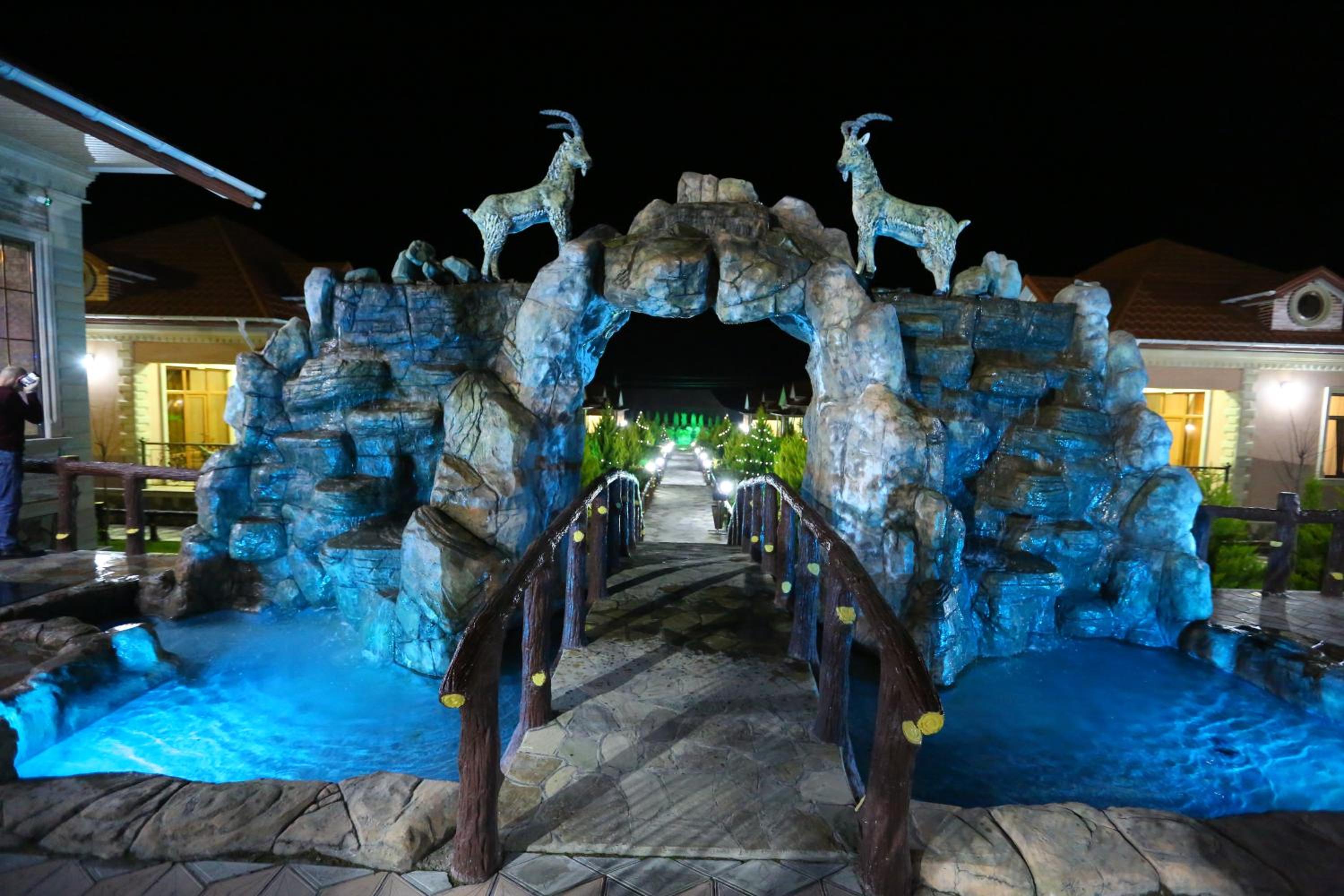 Photo 41