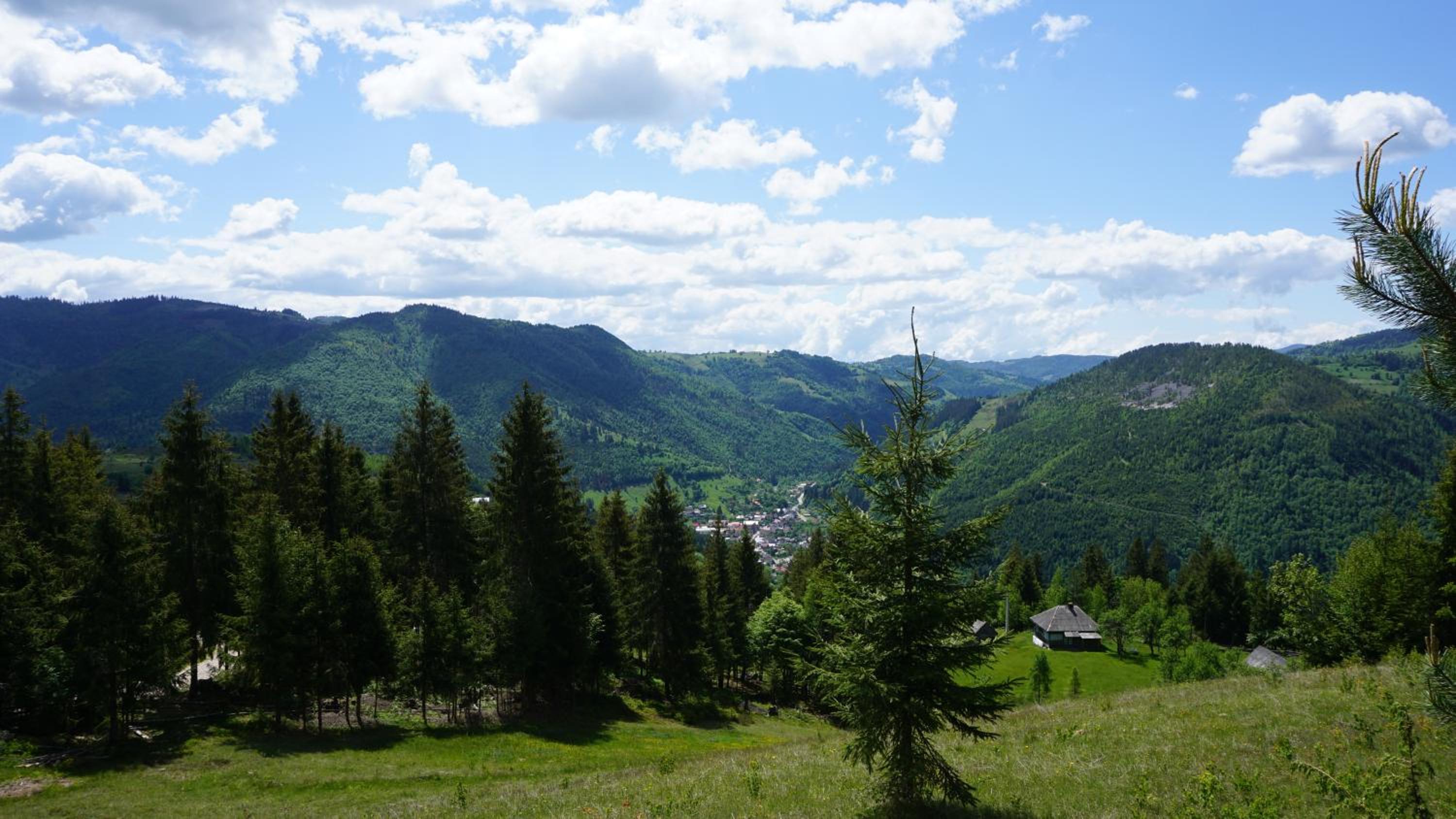 Pensiunea Jianu view 4