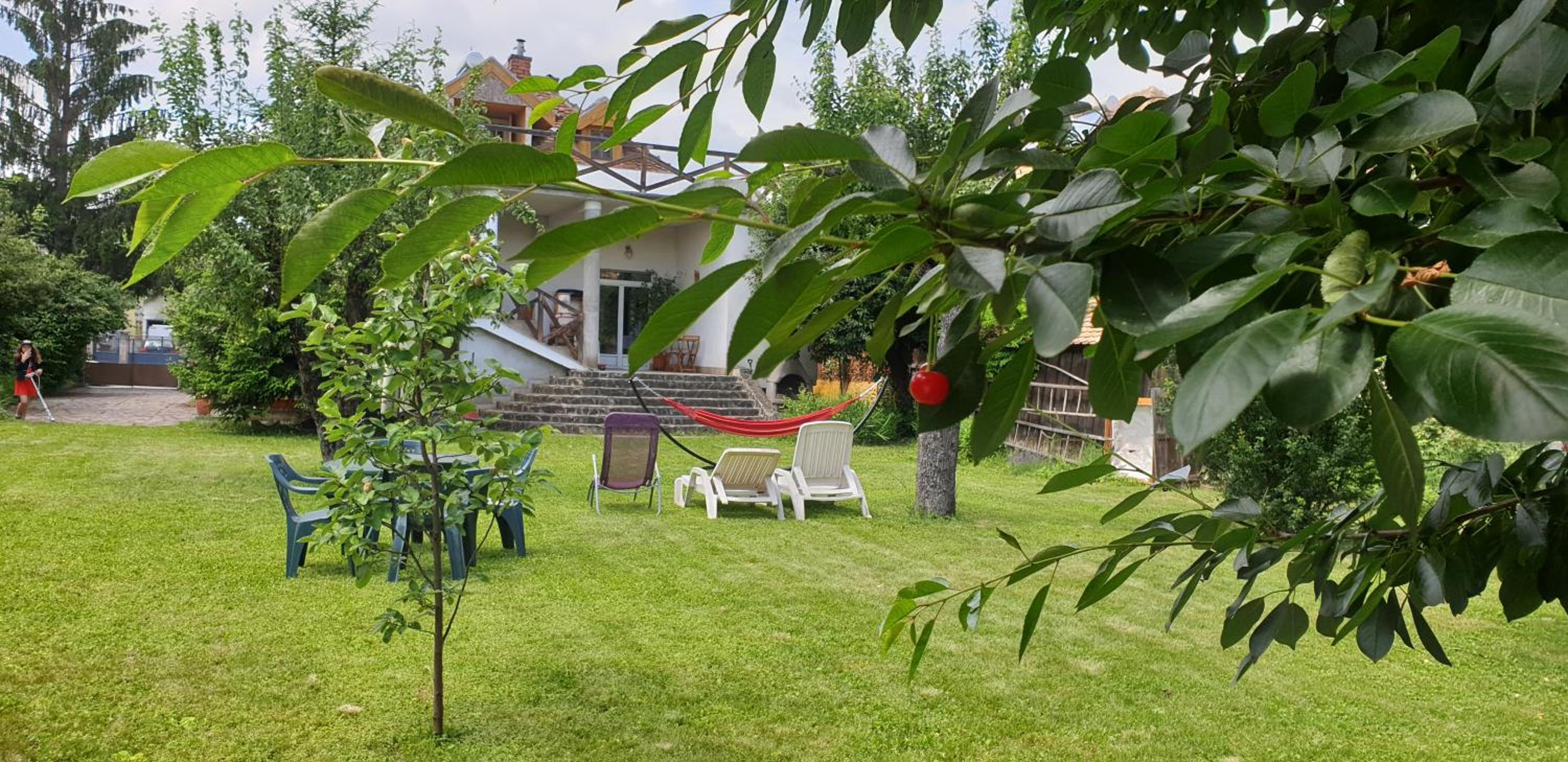 Martha Residence