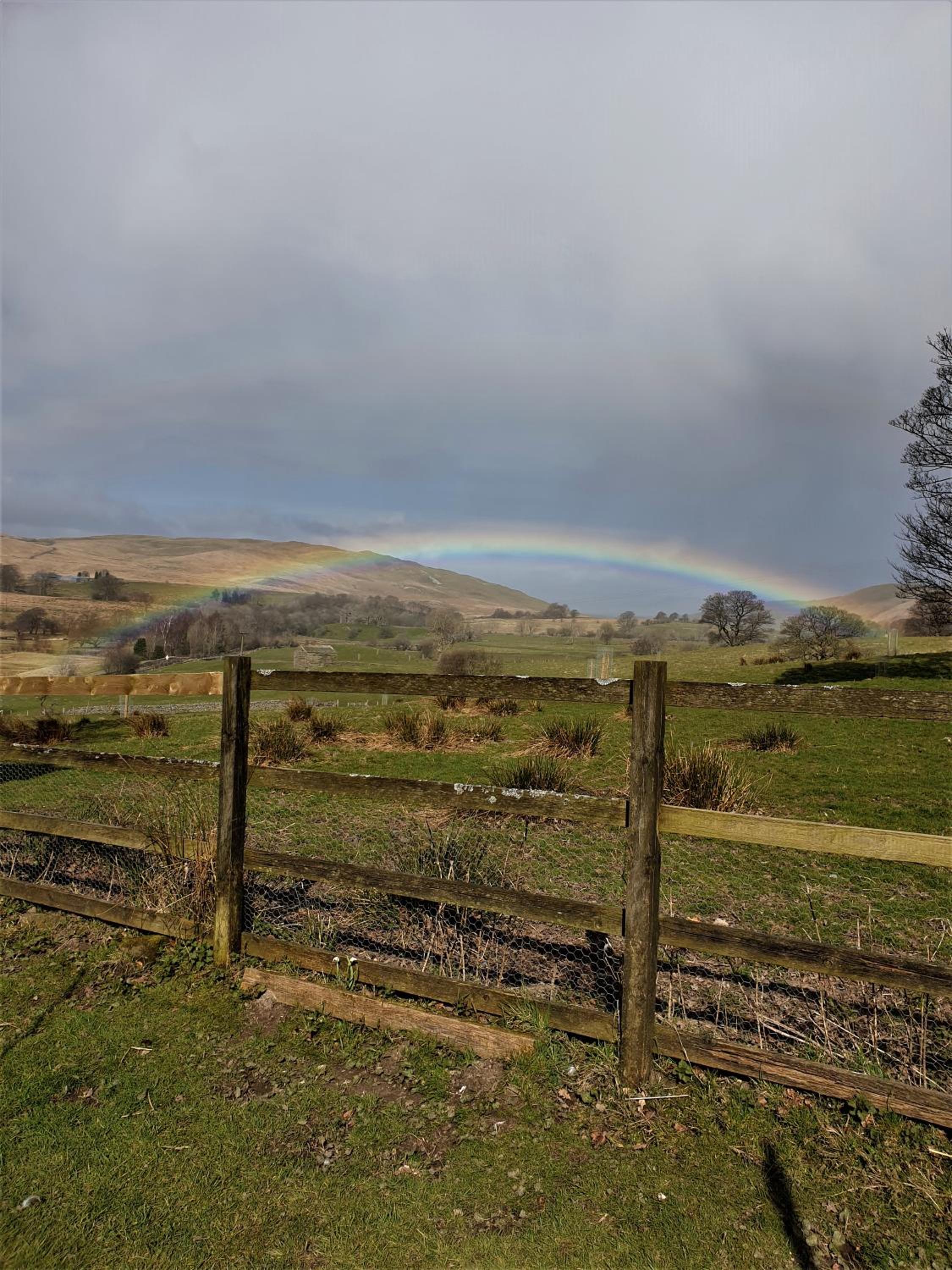 Elysian Fields @ Ing Hill Lodge view 2