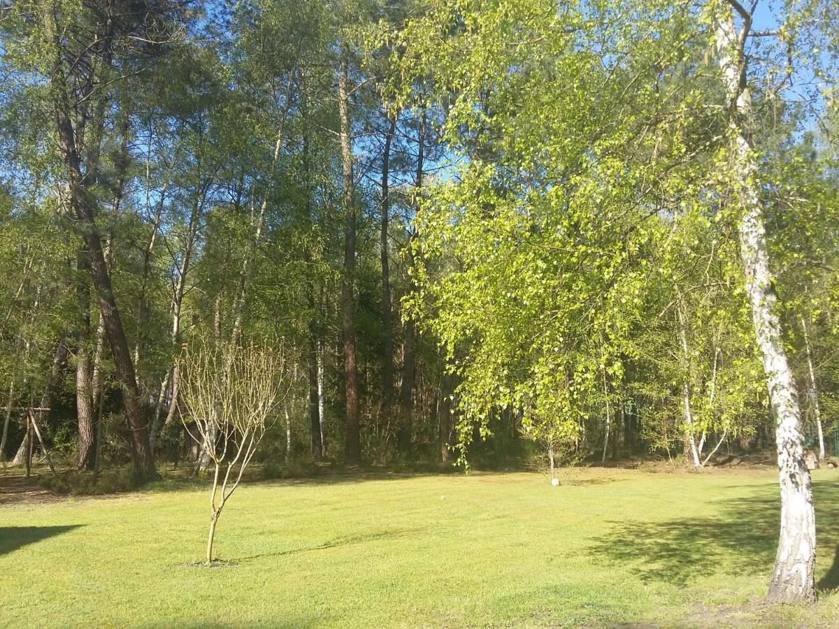 B&B La Forêt de Charmeuse view 5