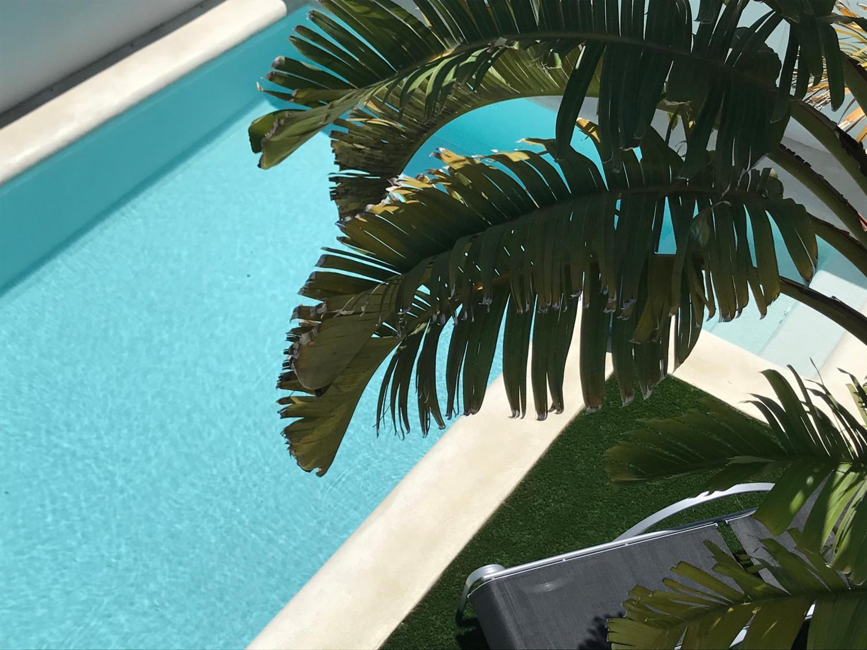 Villa Blanca Views & Pool view 3
