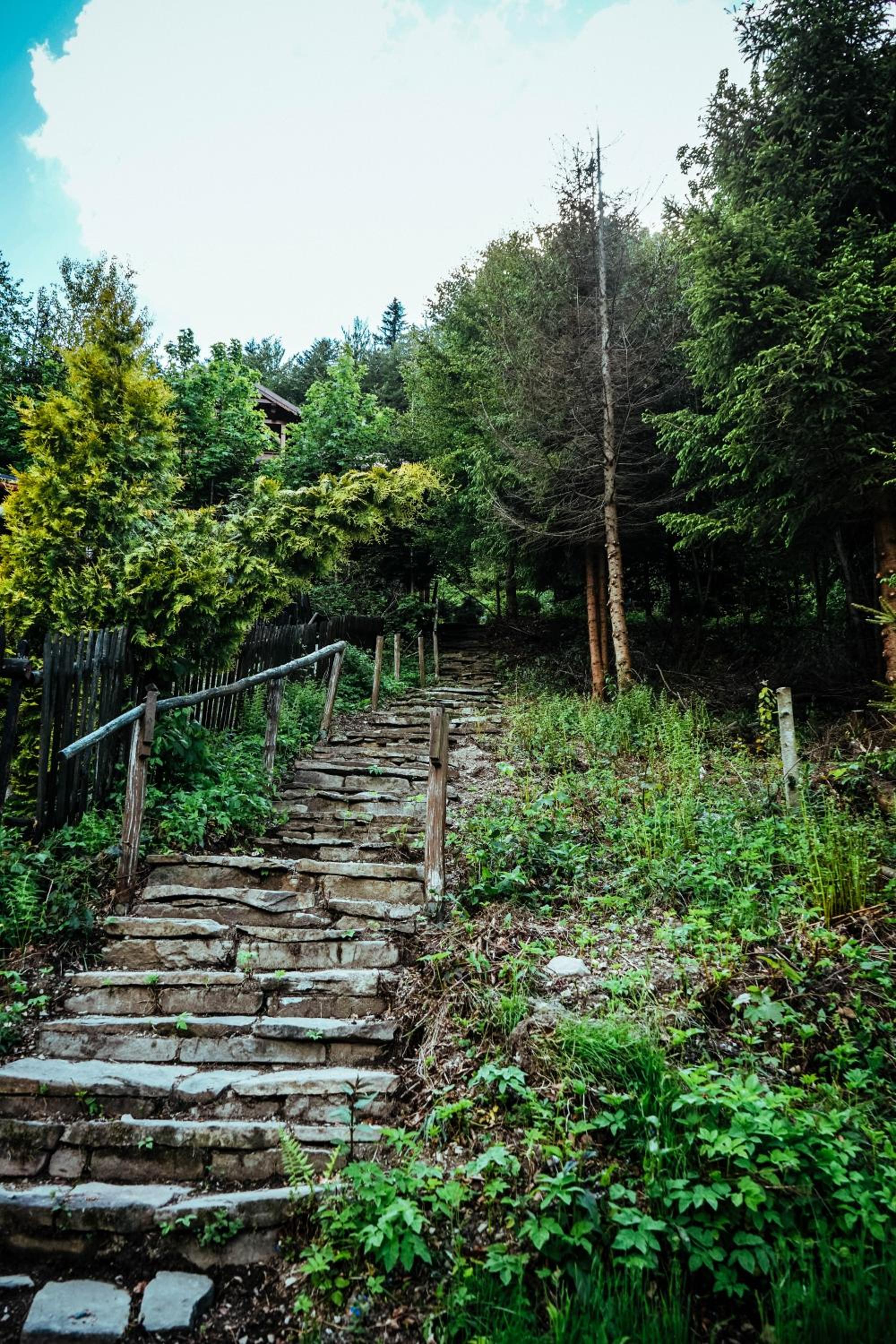 Photo 11