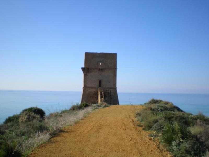 Photo 32