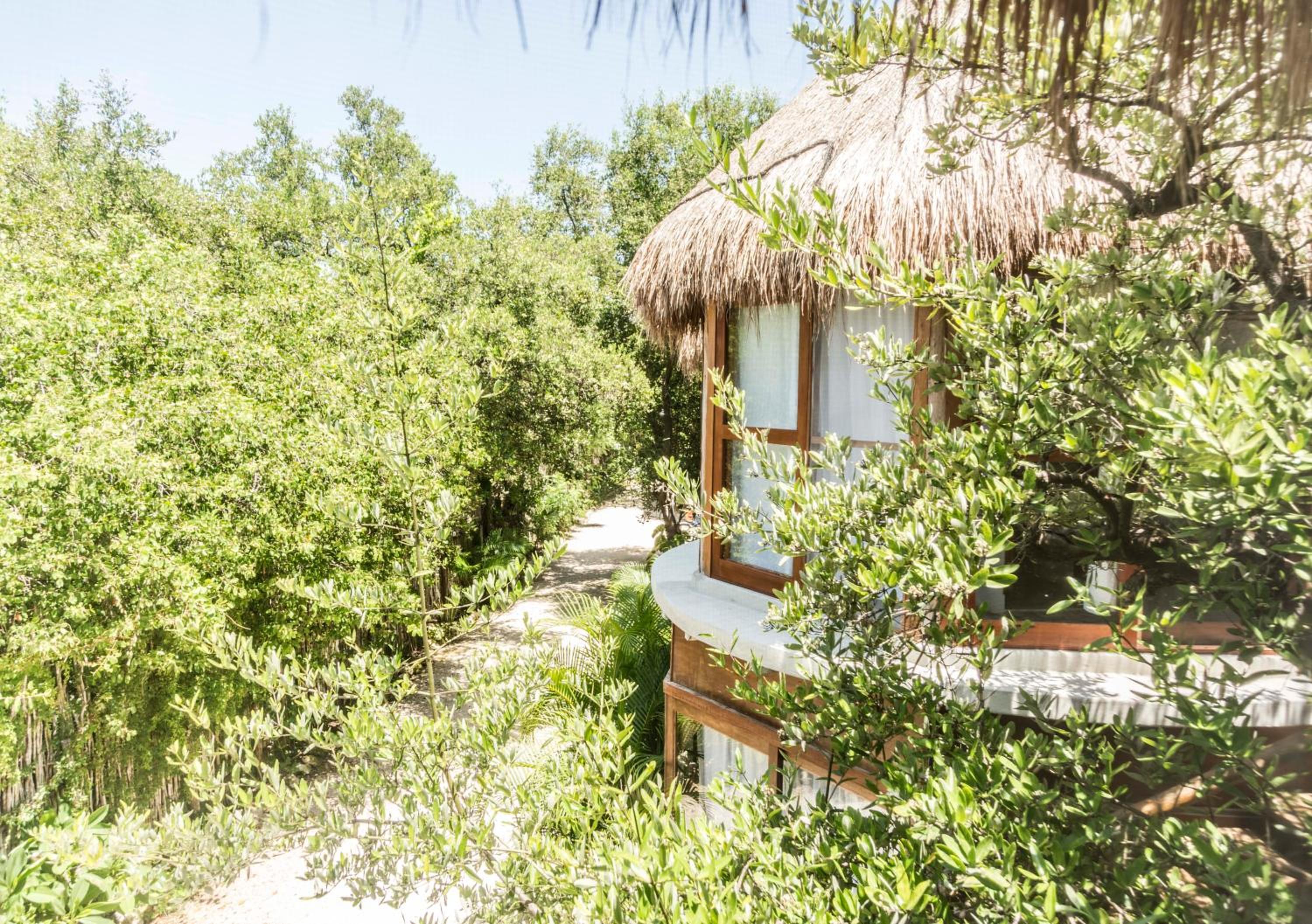 Hotel Mamasan Treehouses & Cabins - Image 1