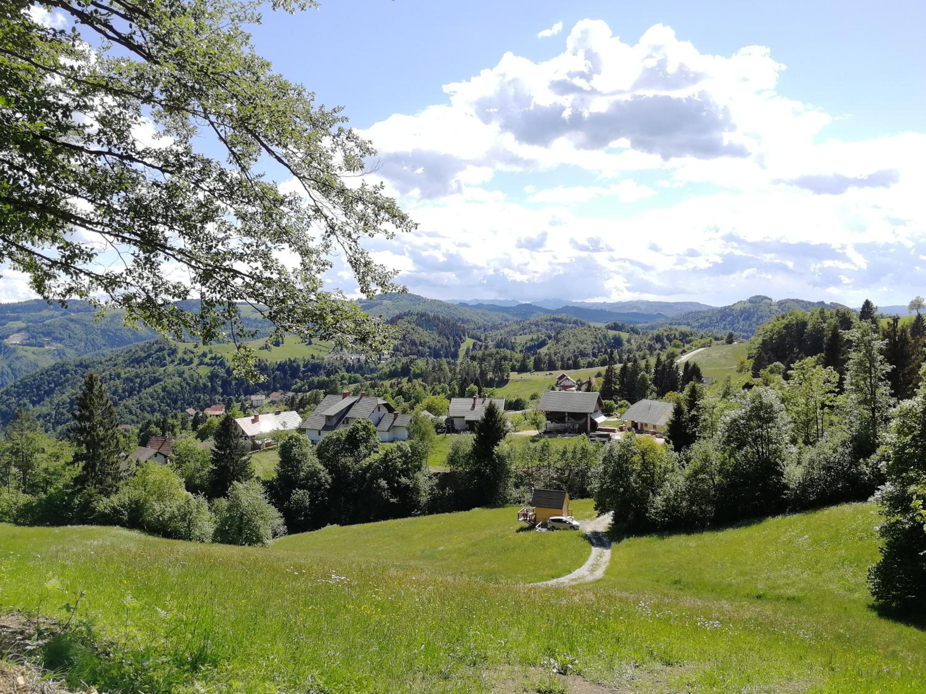 Photo 23