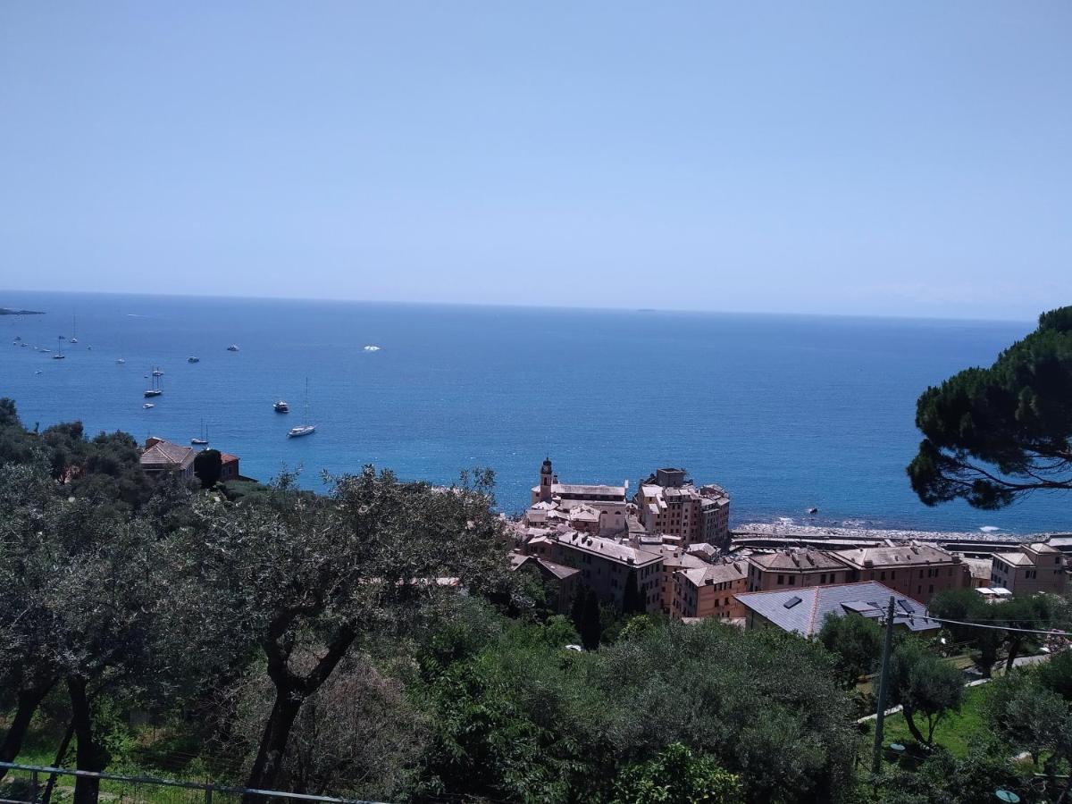 Villa San Prospero