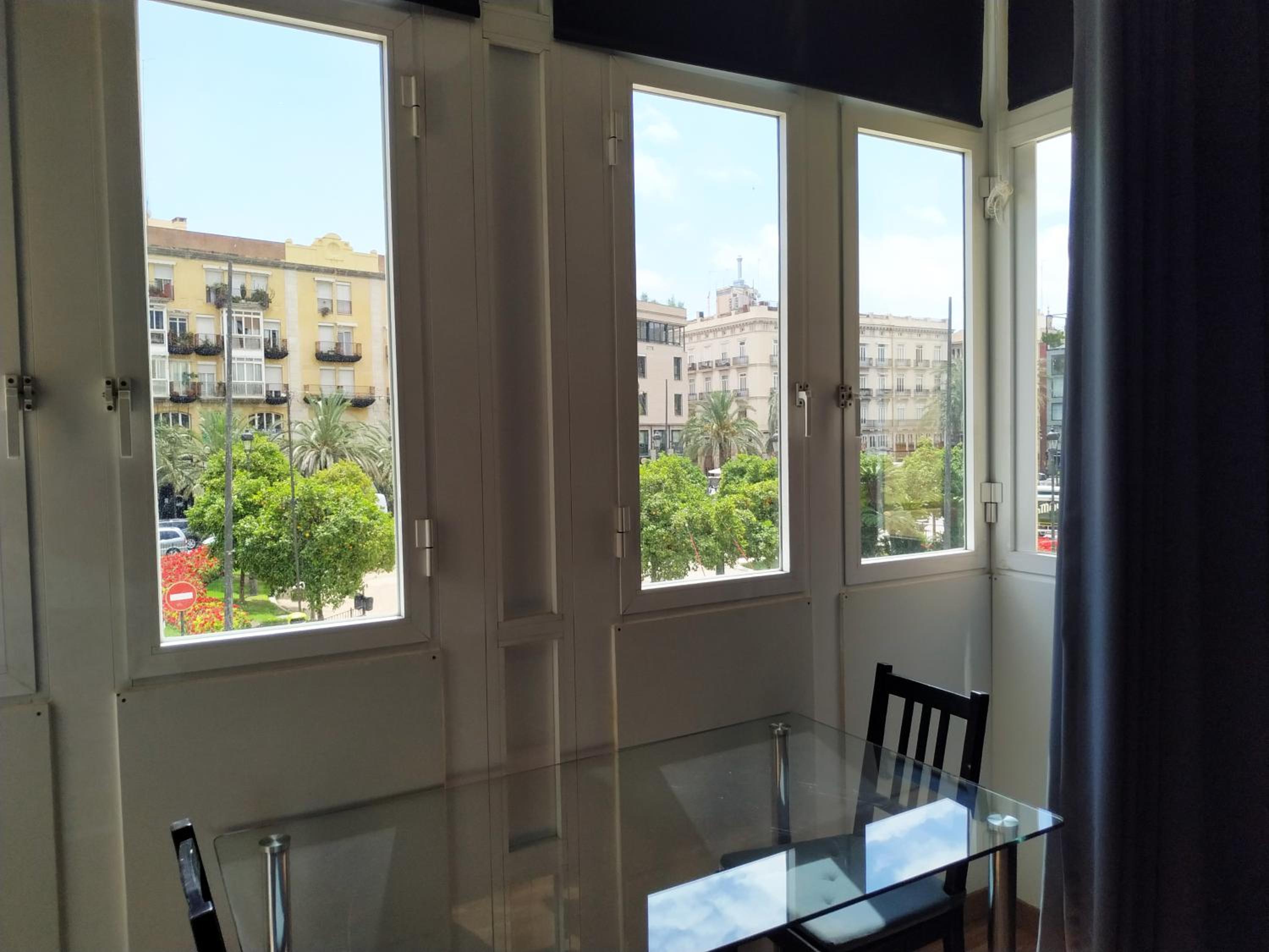 Flats Friends Plaza de la Reina view 2