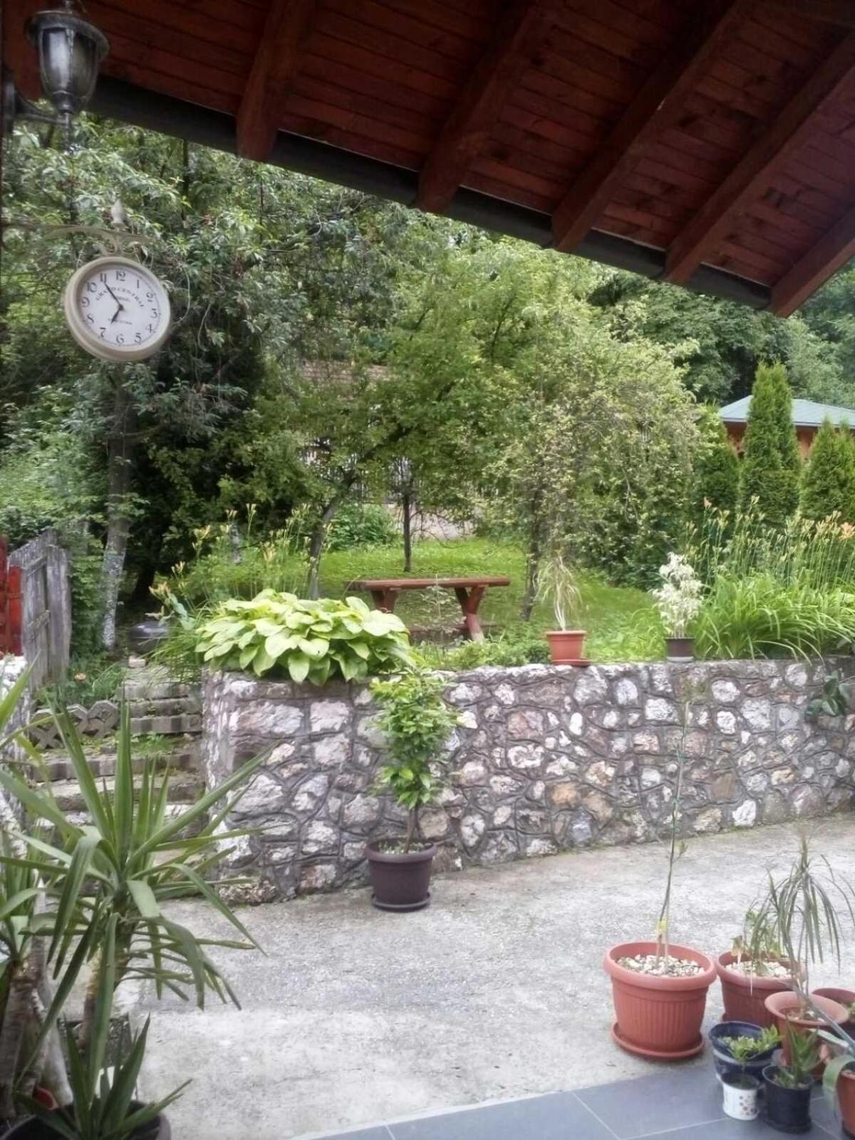 Photo 6