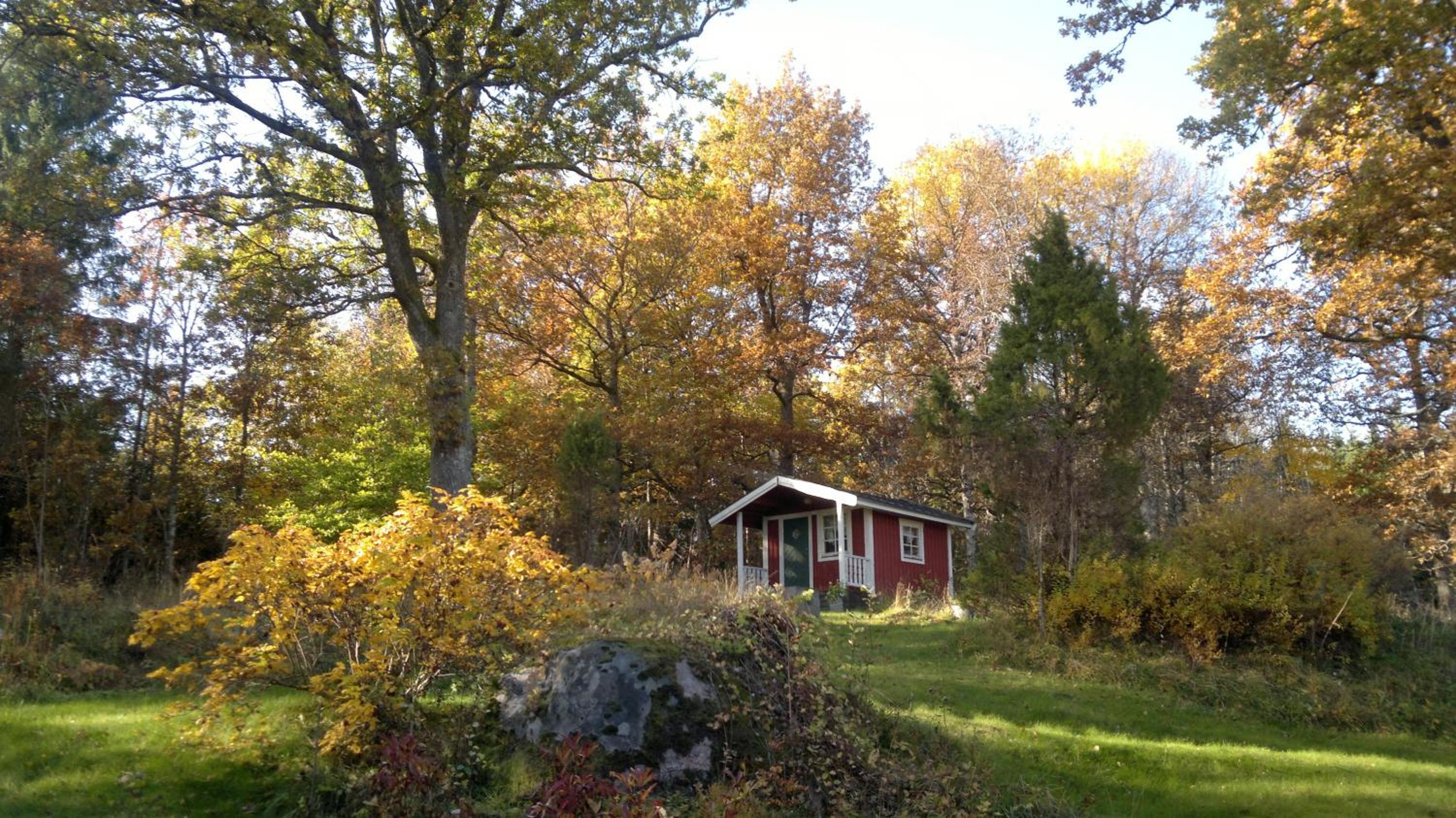 Photo 11
