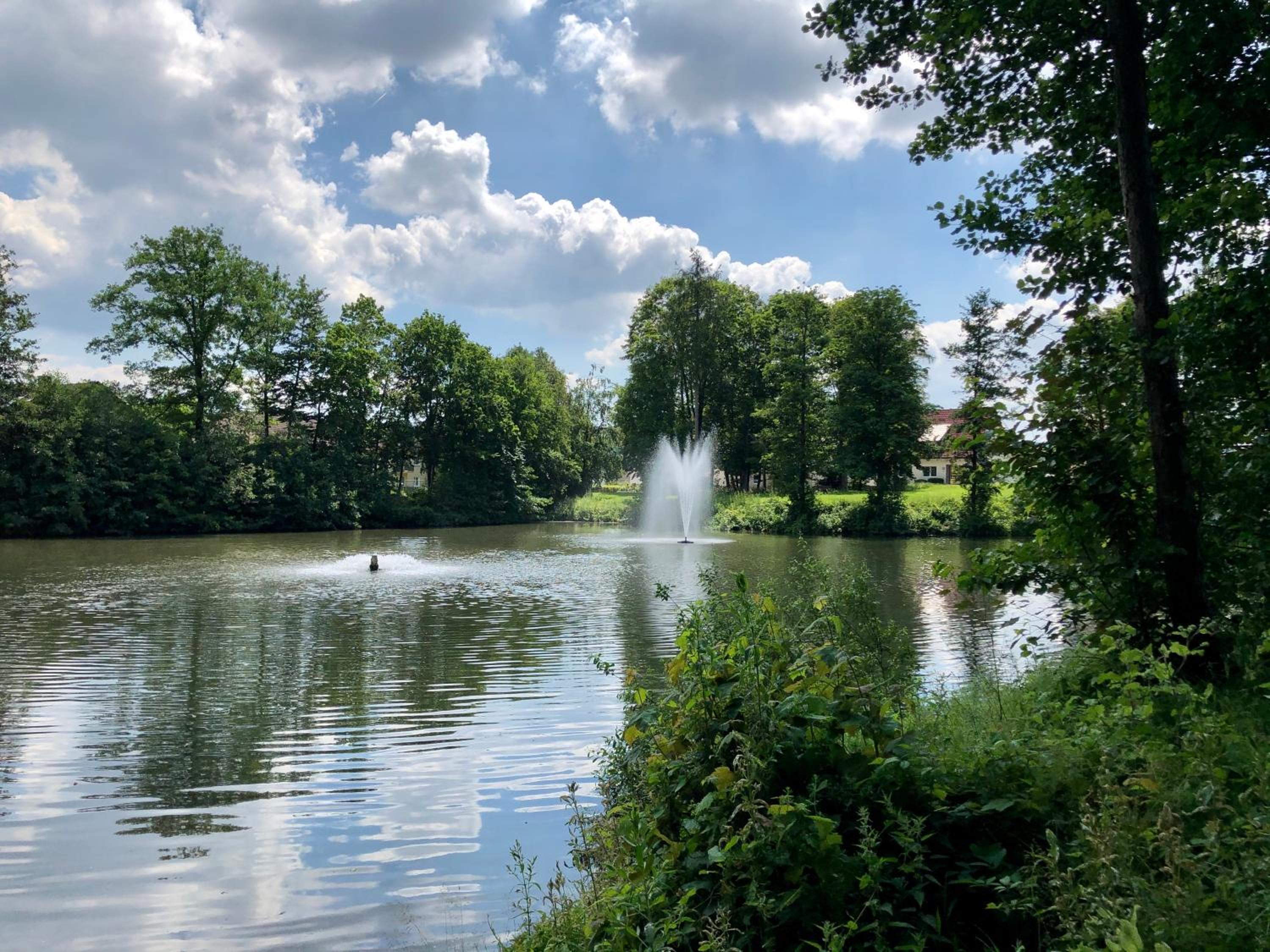 Exklusives Wohnen am Stadtpark