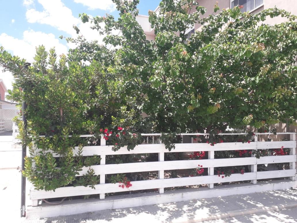 Residence Rosa view 3