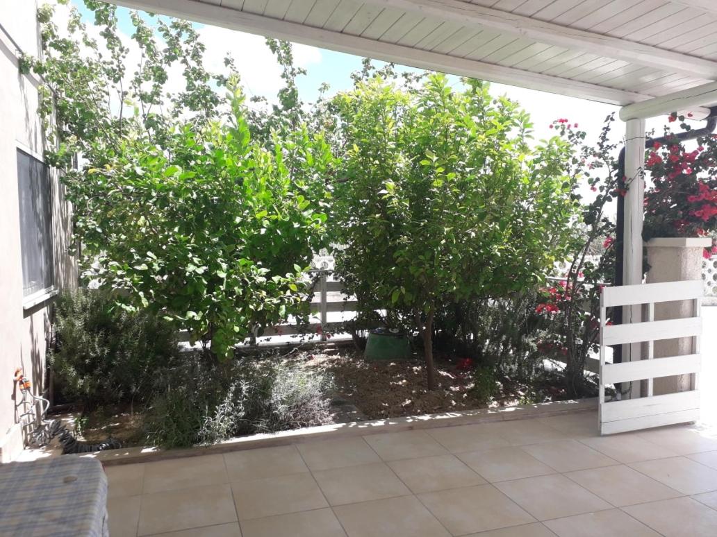 Residence Rosa view 5