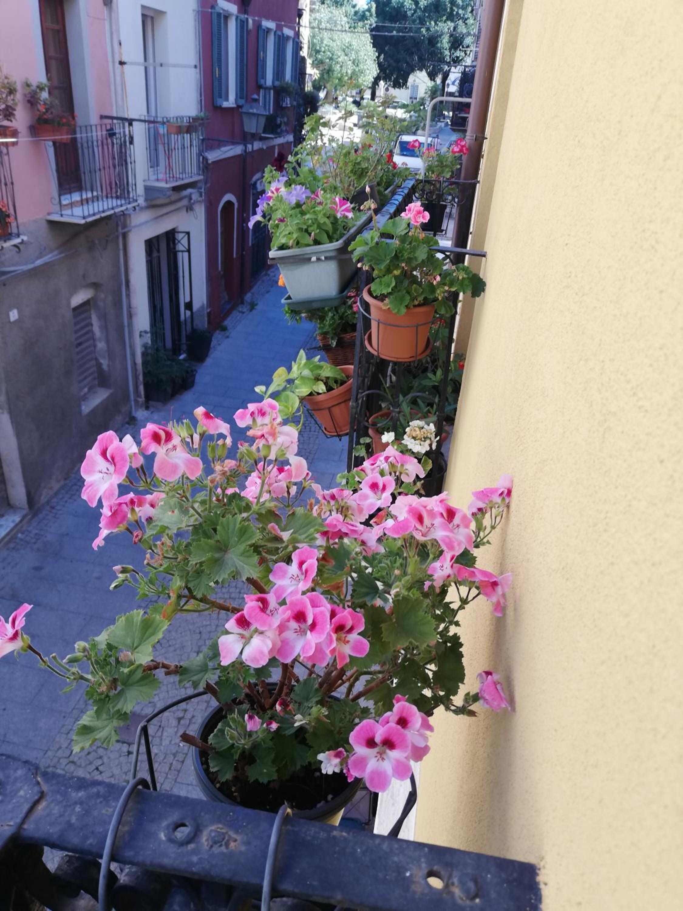 BubiBì view 4